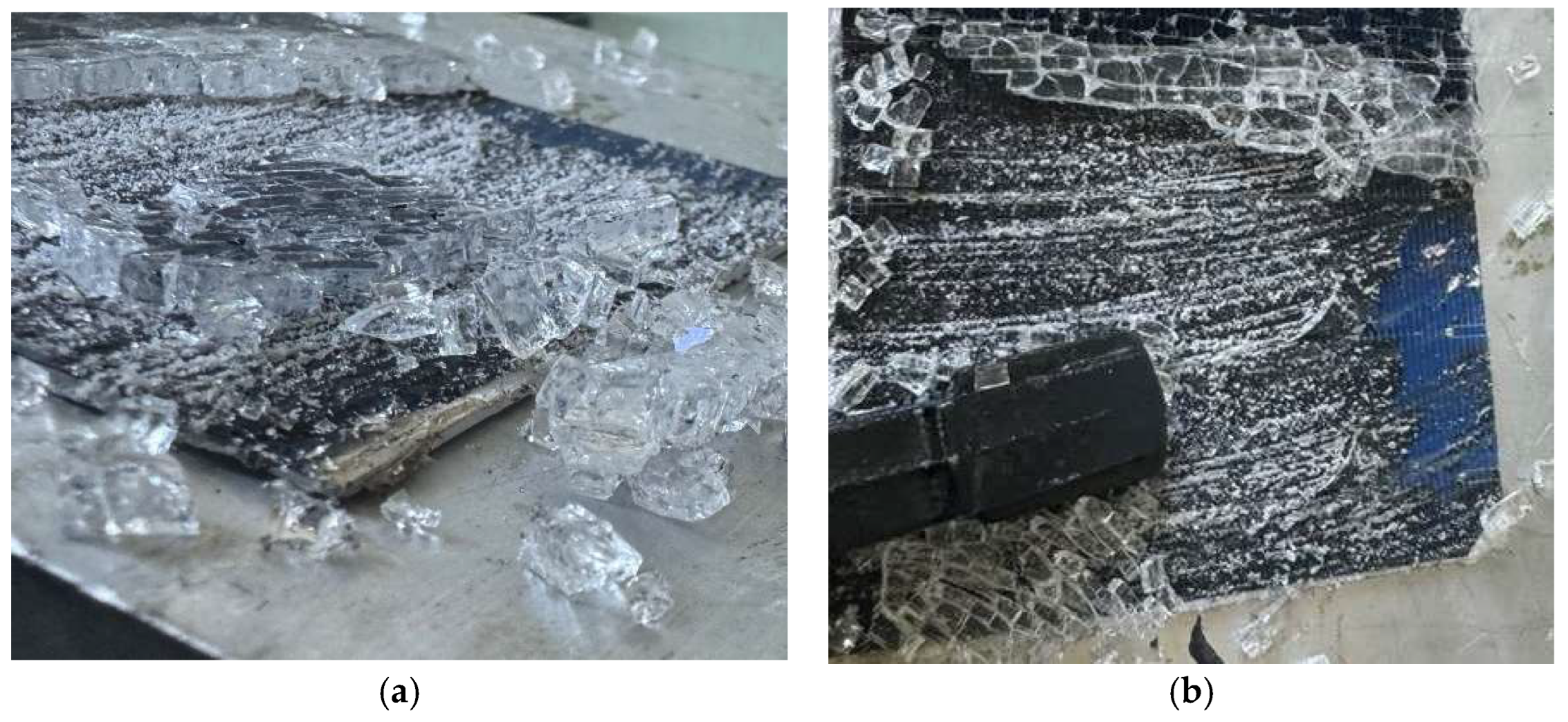 Preprints 154410 g011