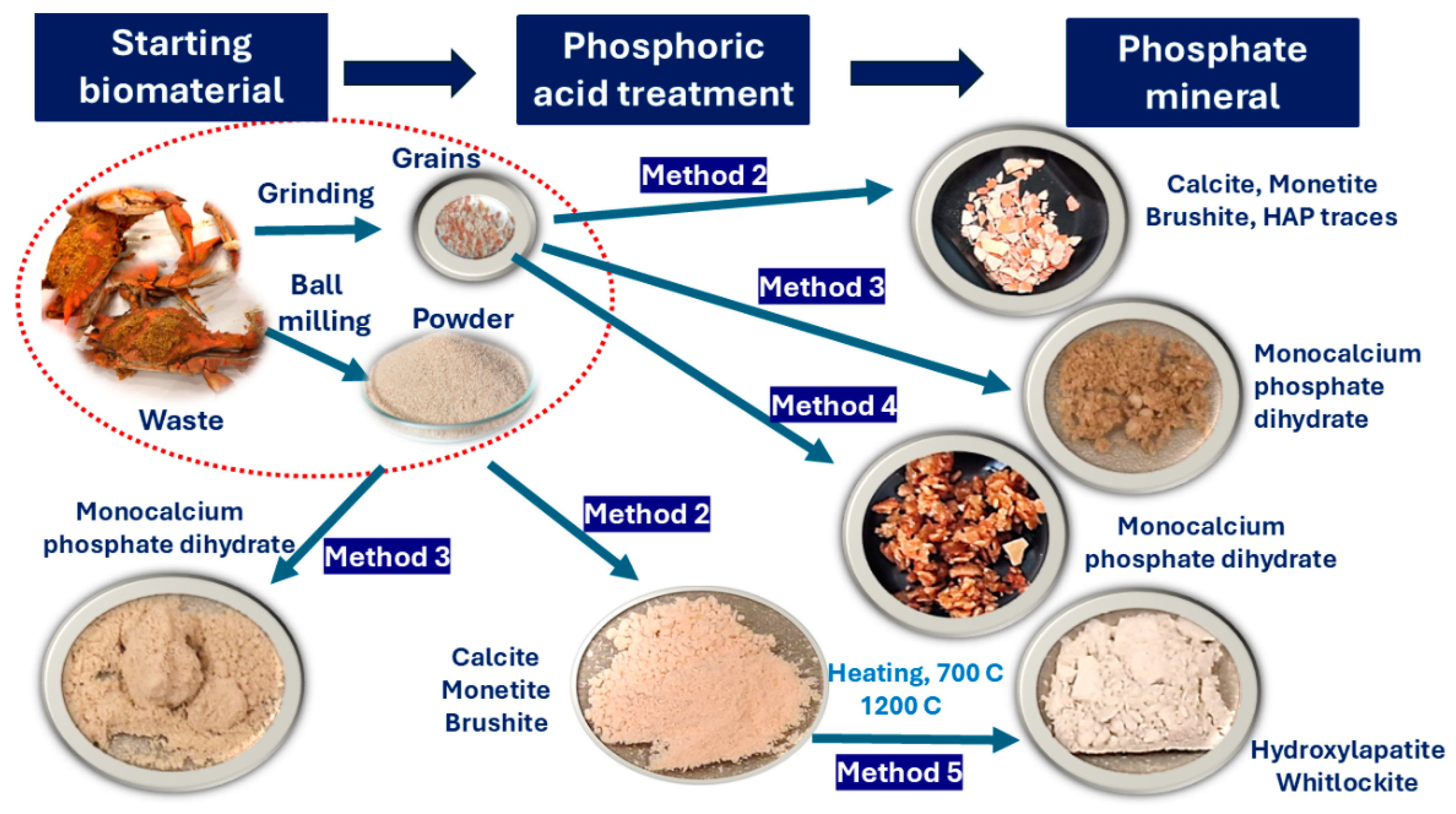 Preprints 178102 g003