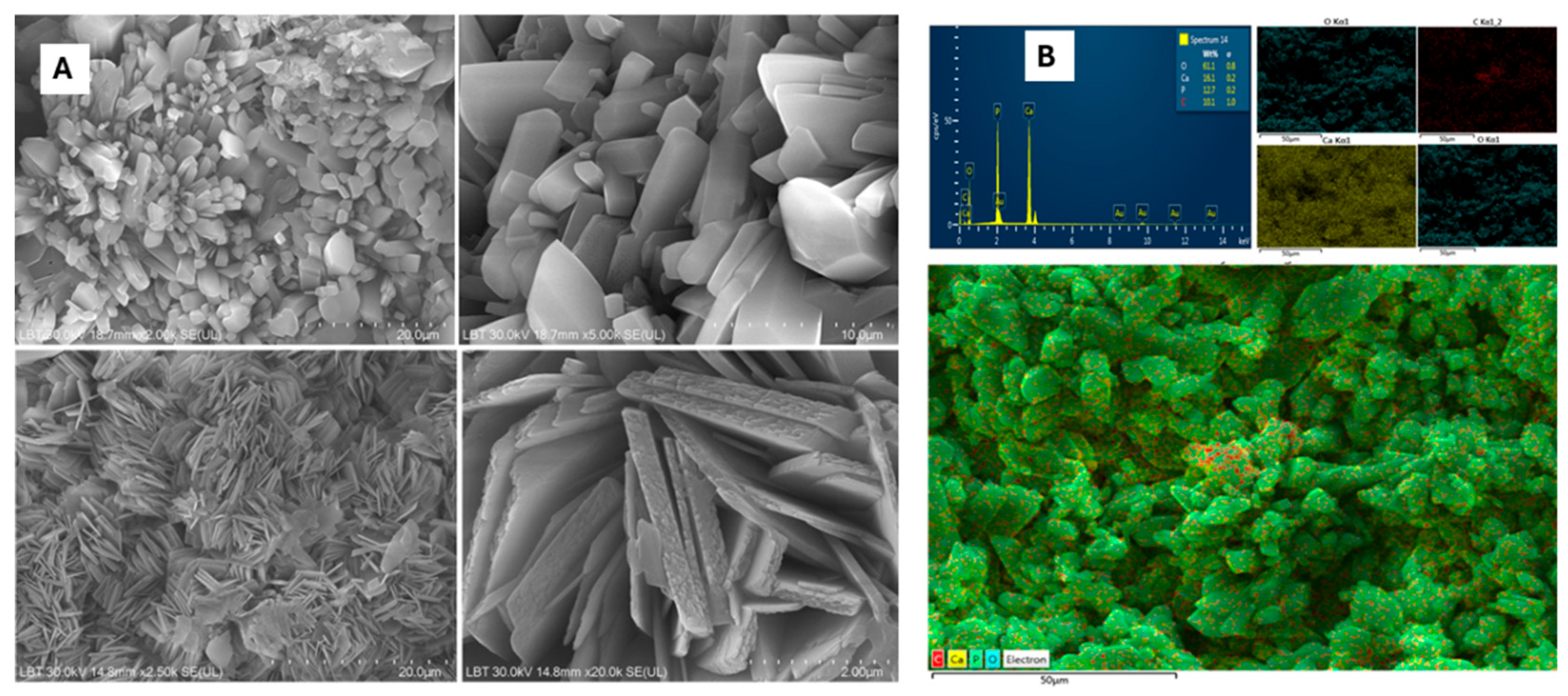 Preprints 178102 g007