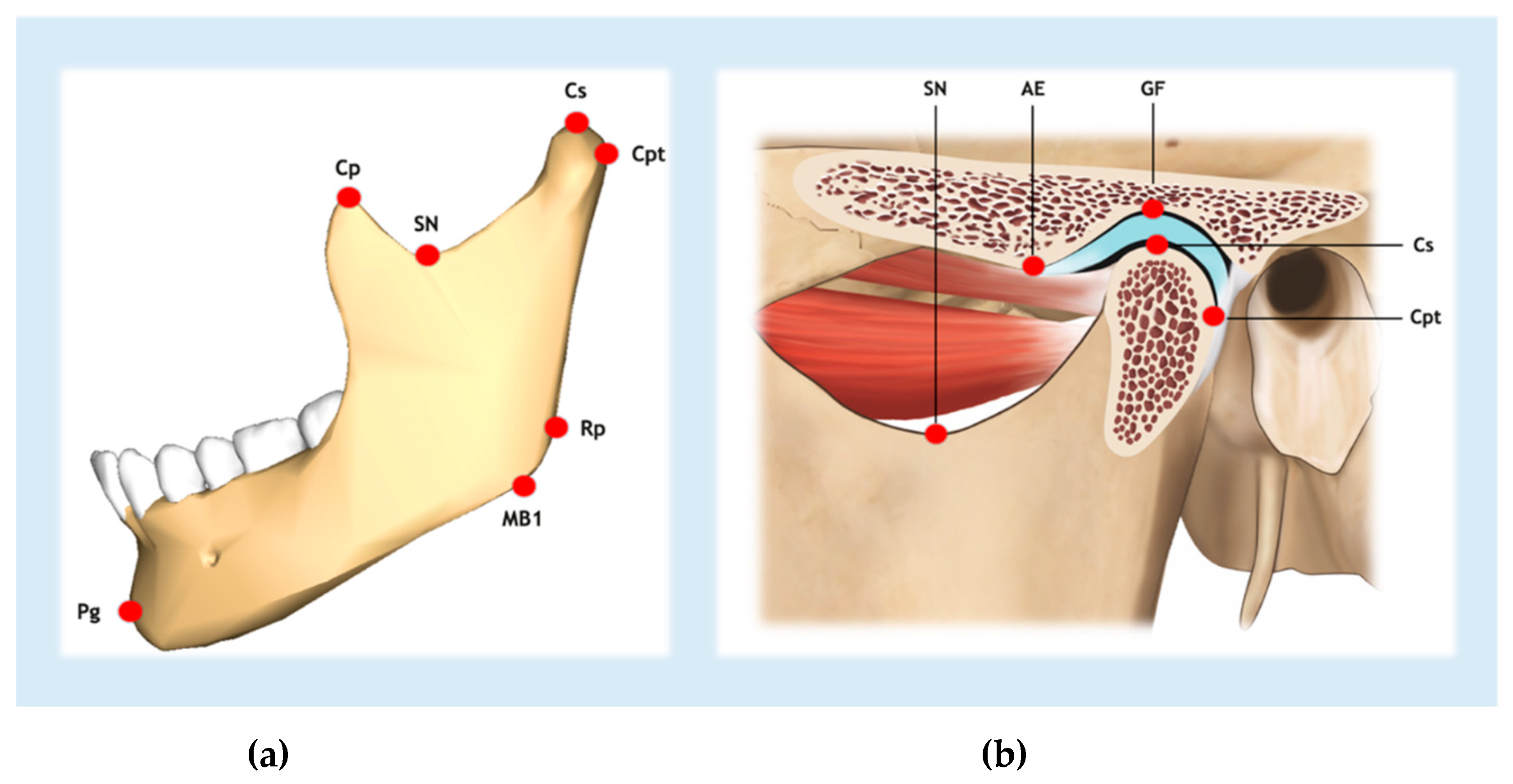 Preprints 142531 g002