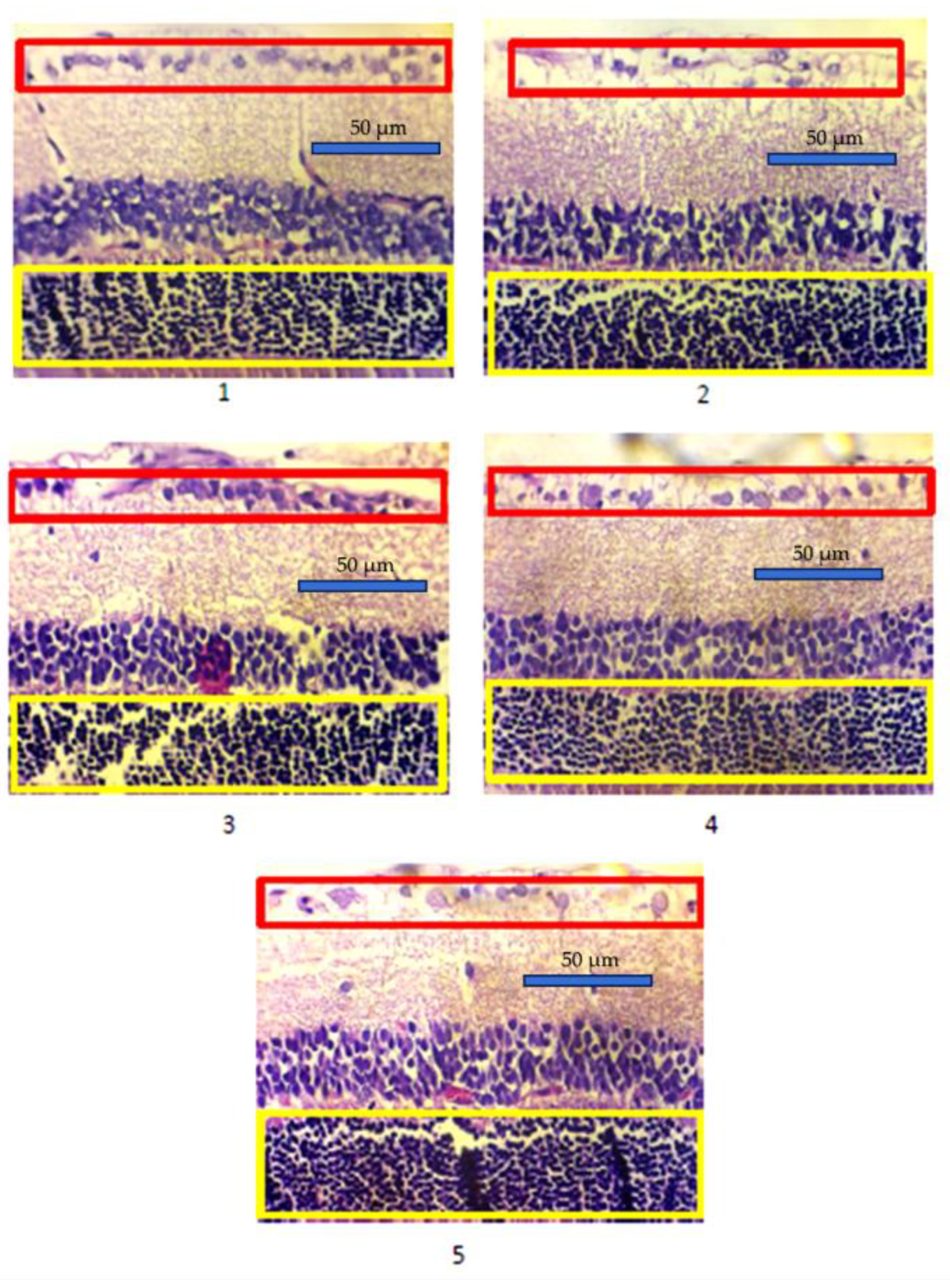 Preprints 181169 g001