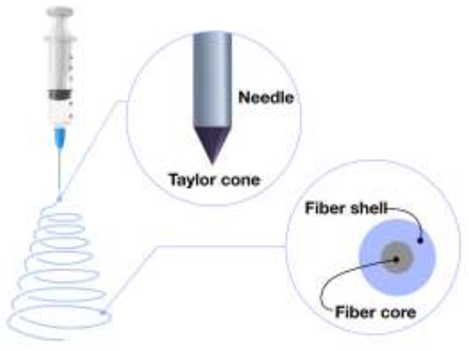 Preprints 141049 g006