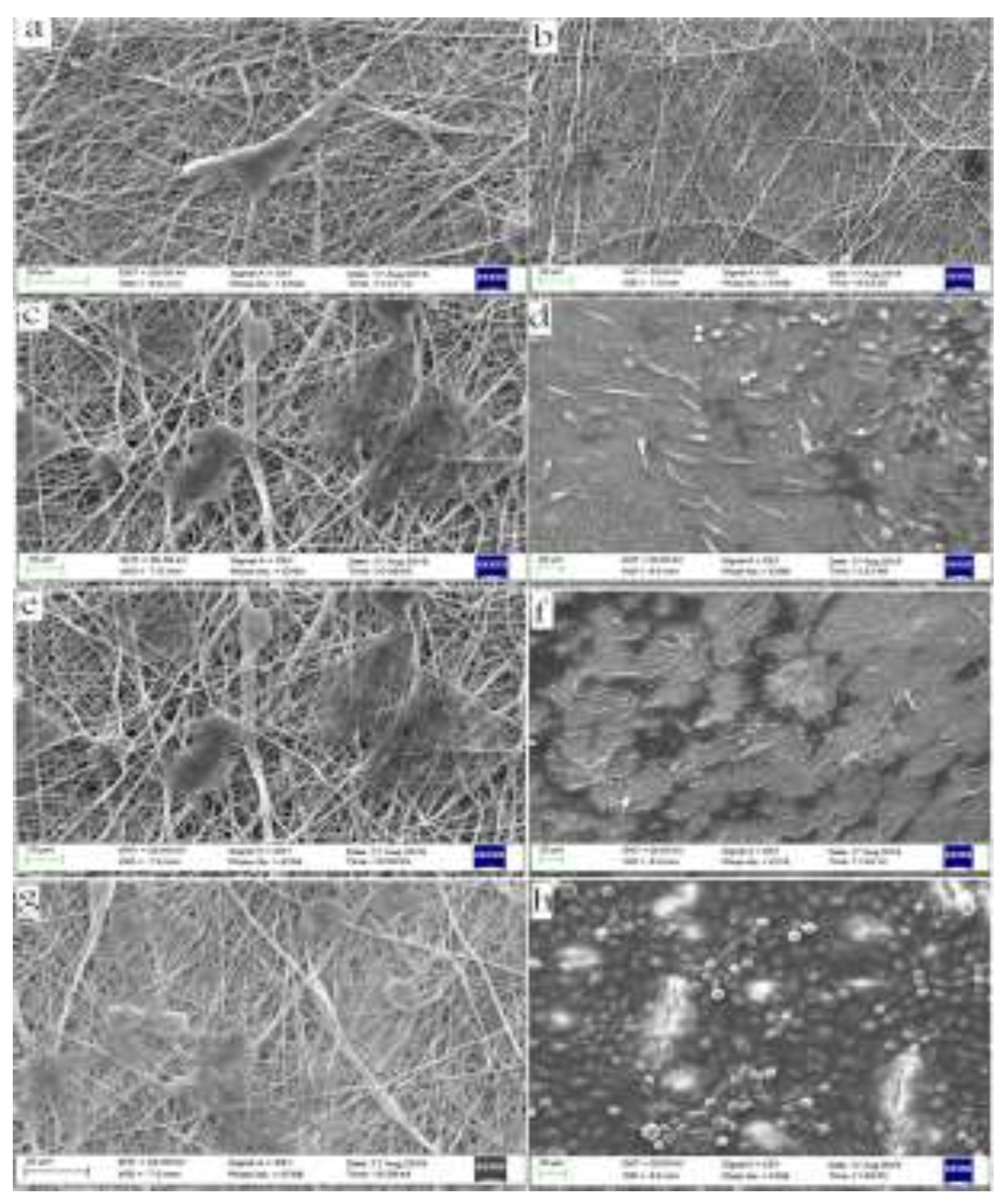 Preprints 141049 g007