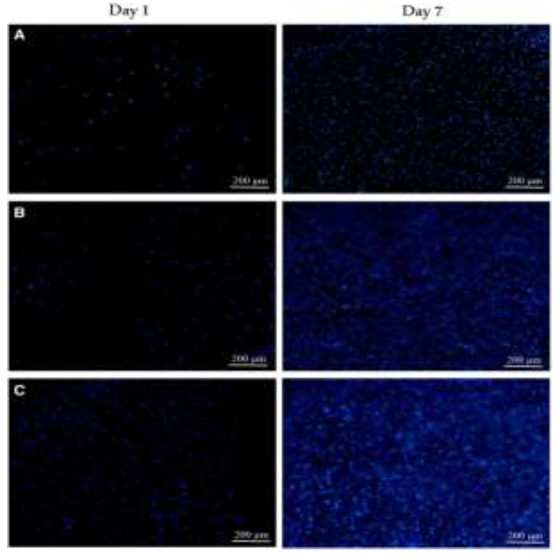 Preprints 141049 g008