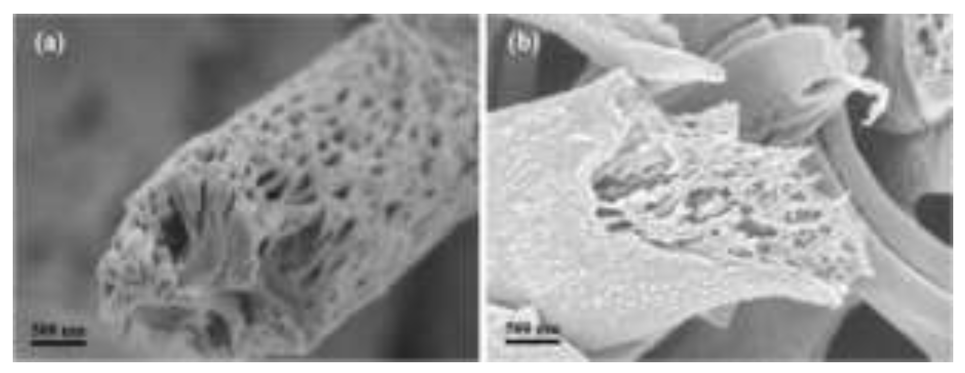 Preprints 141049 g010