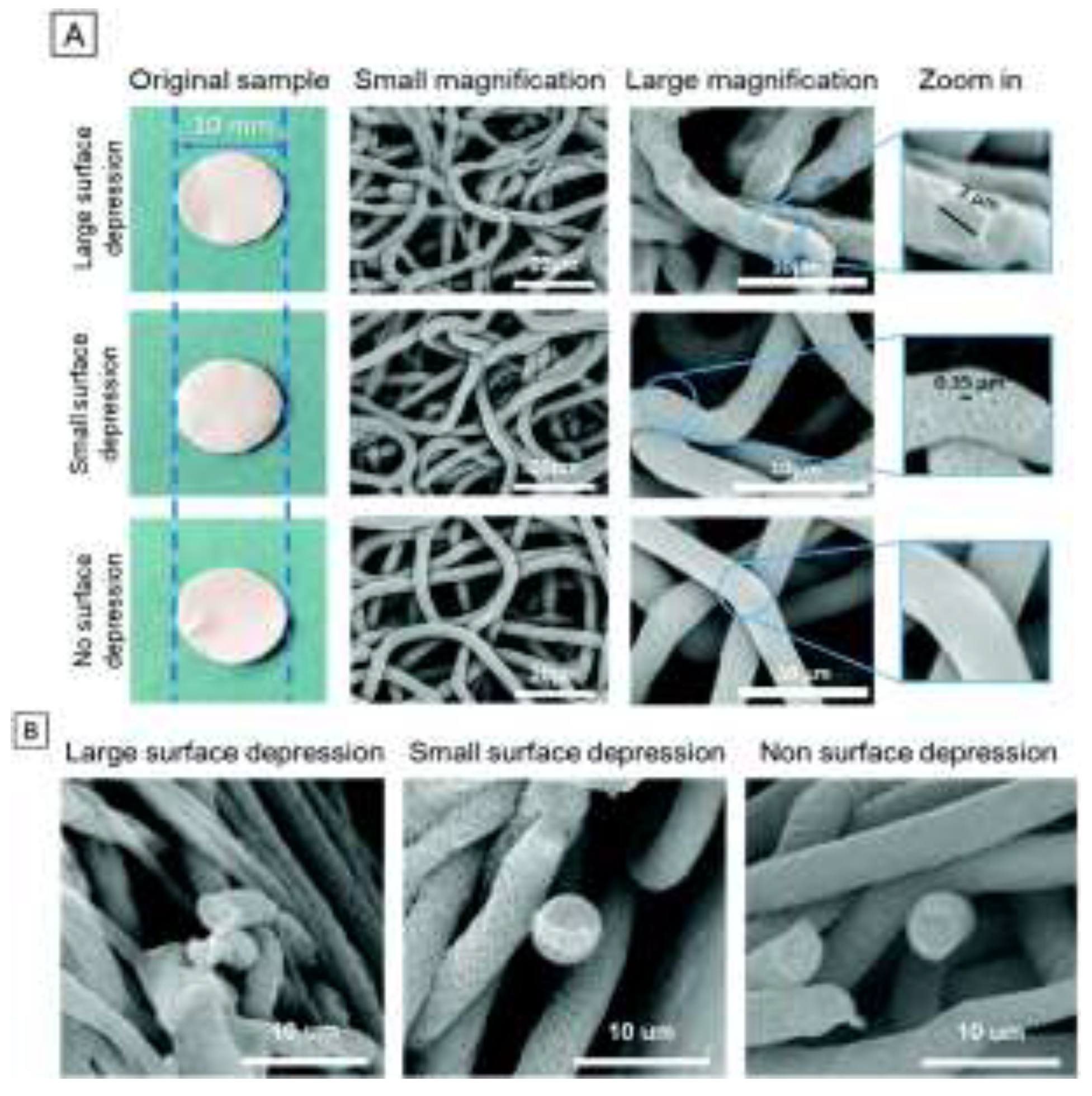 Preprints 141049 g011
