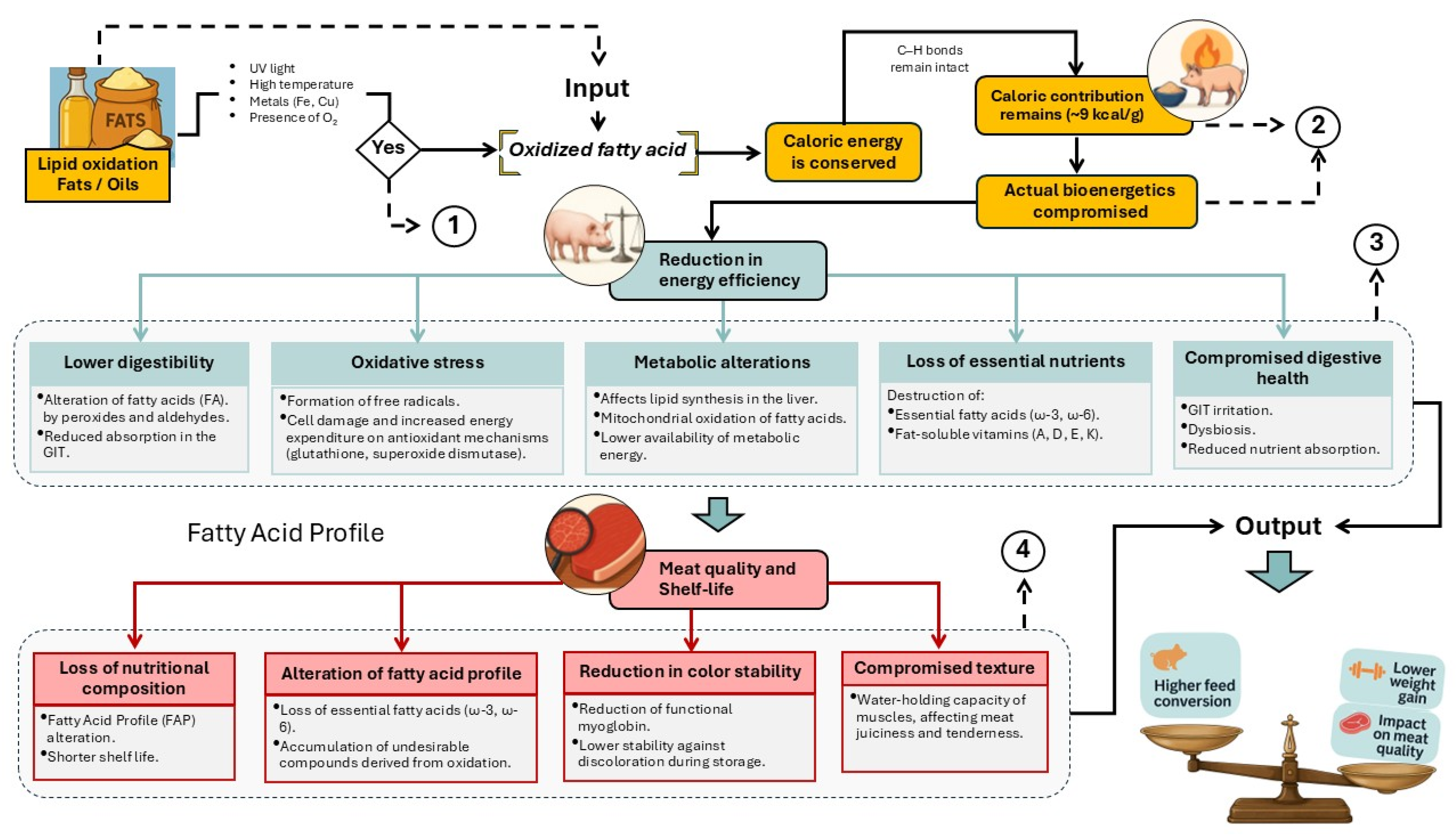 Preprints 194494 g002