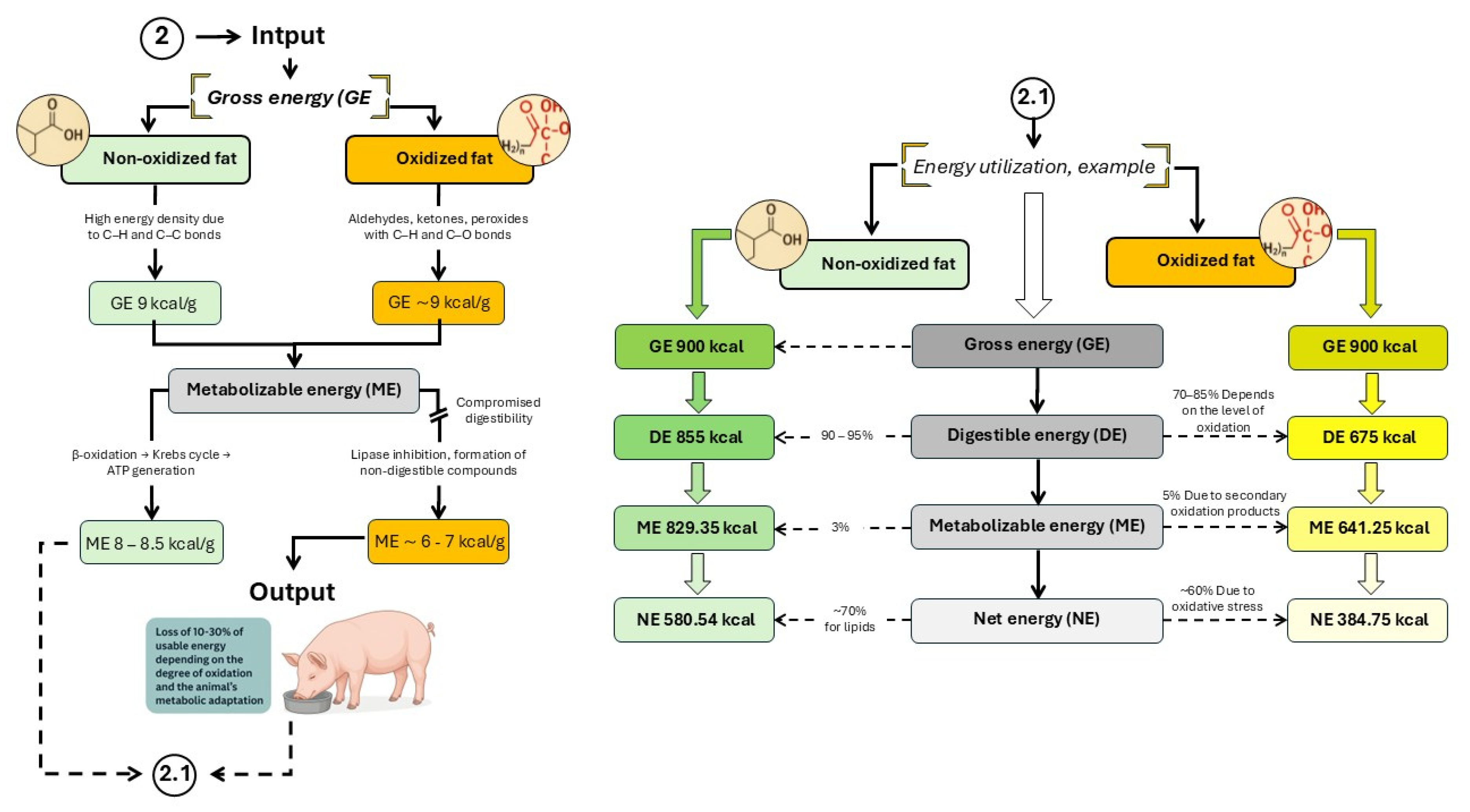 Preprints 194494 g004