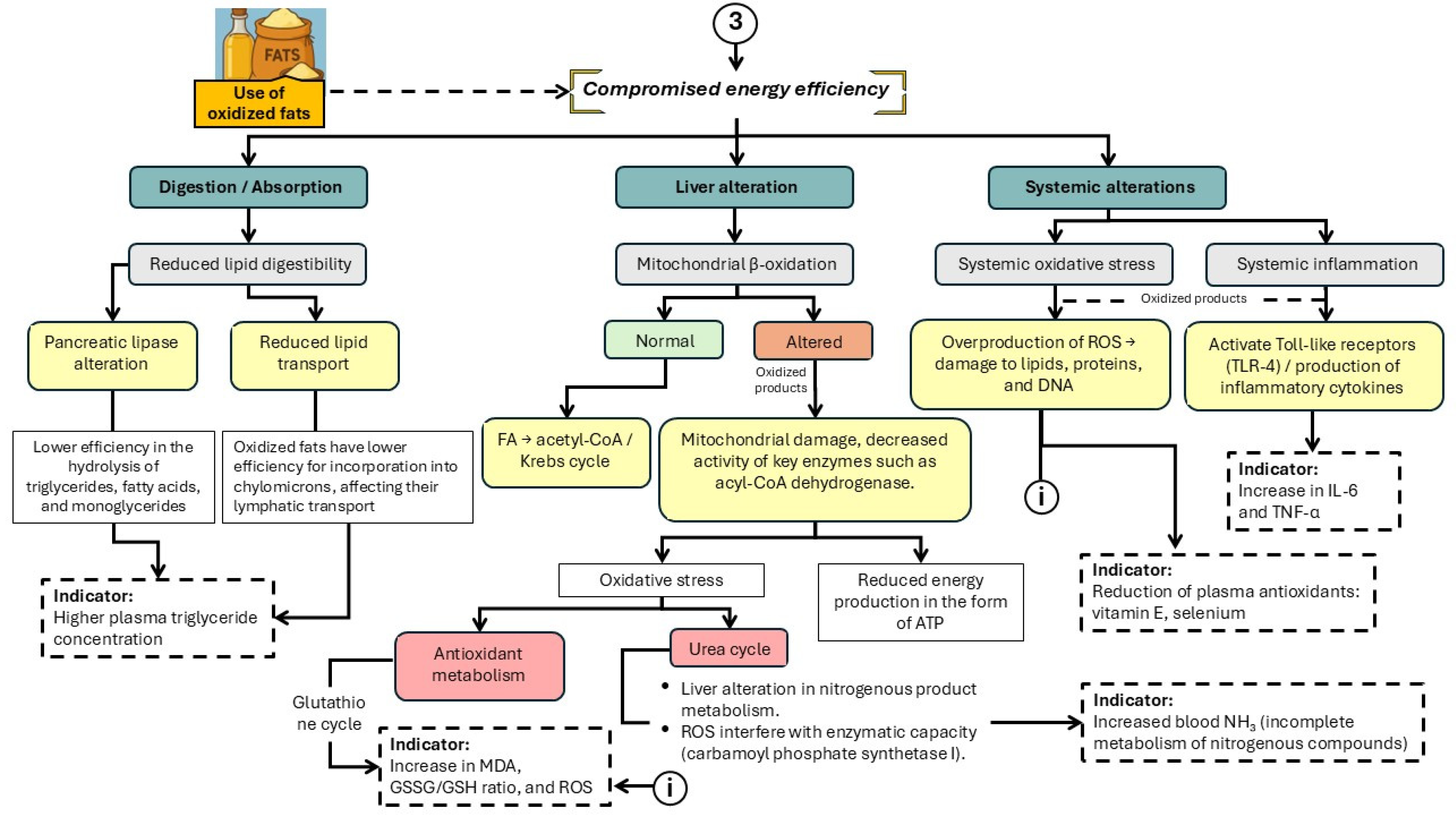Preprints 194494 g005