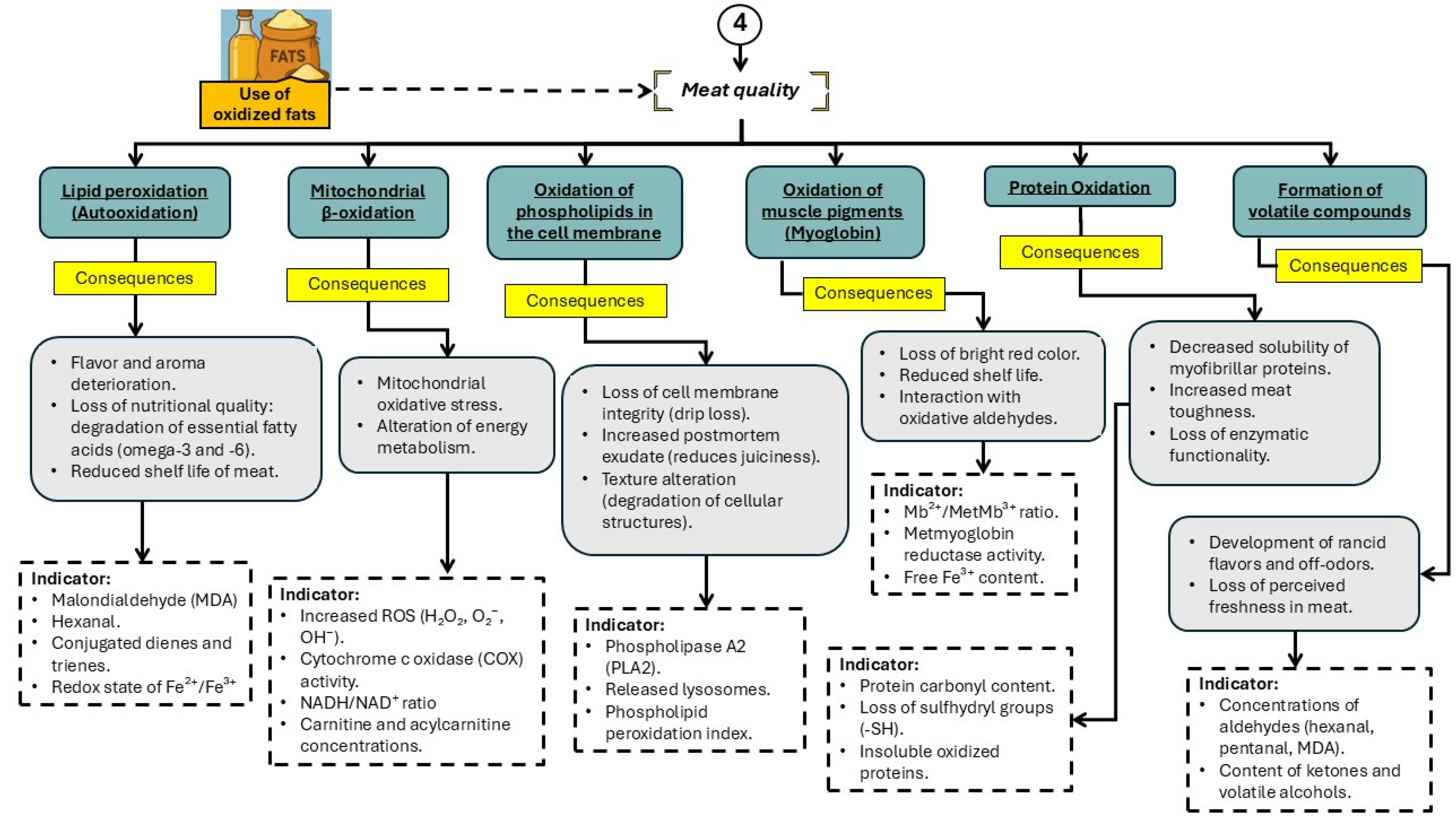 Preprints 194494 g006