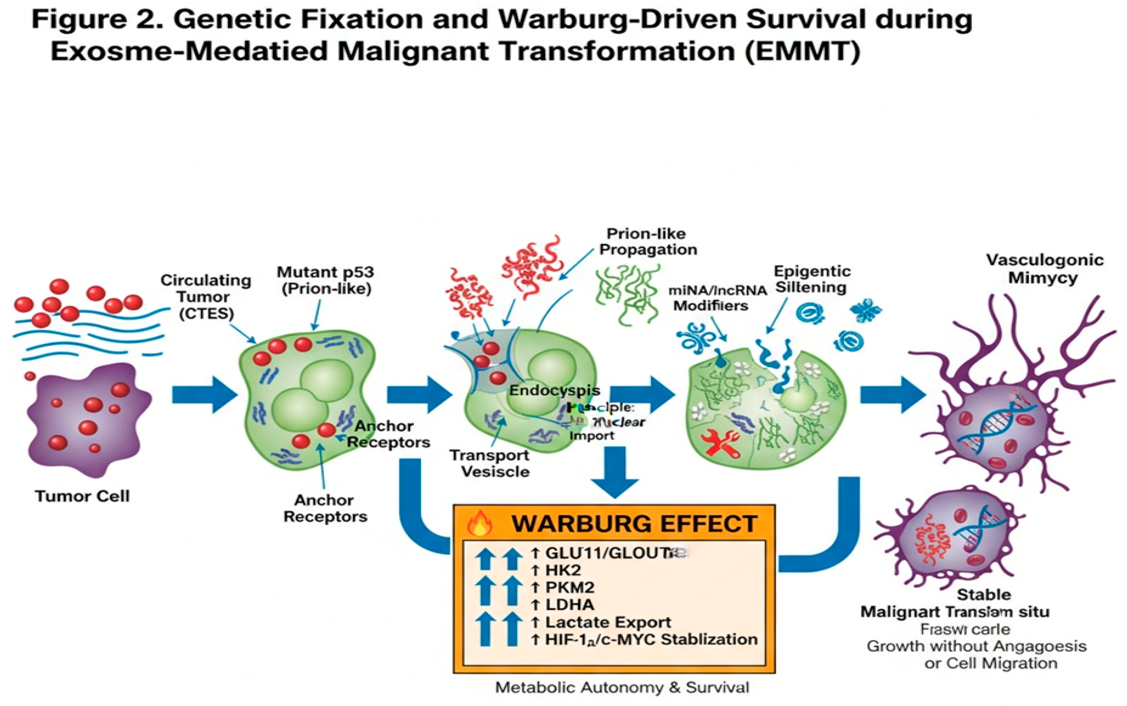 Preprints 191336 g002