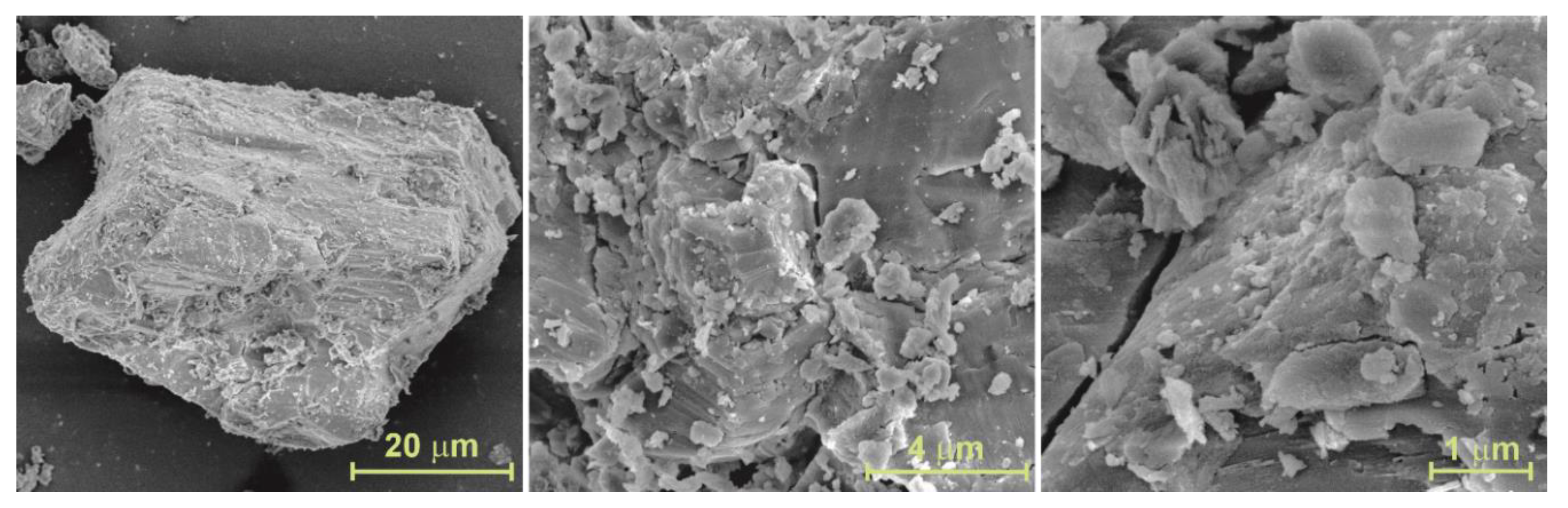 Preprints 166060 g001