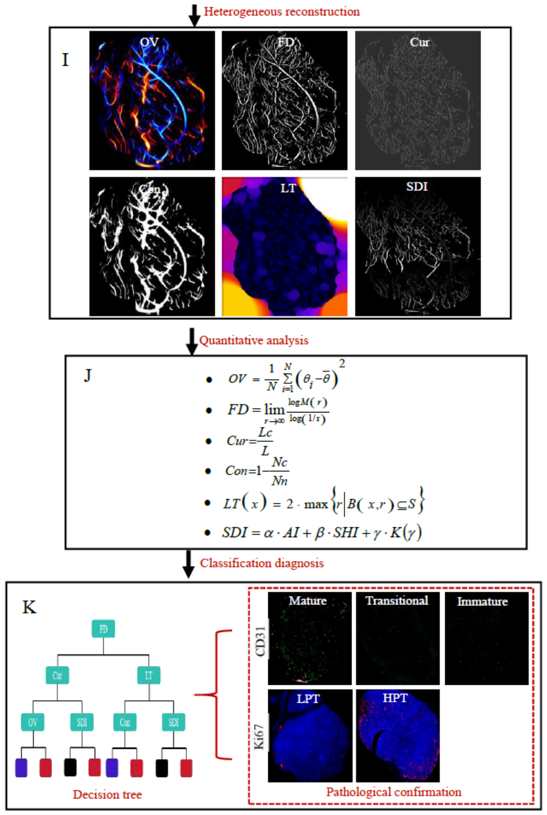 Preprints 210351 g001b