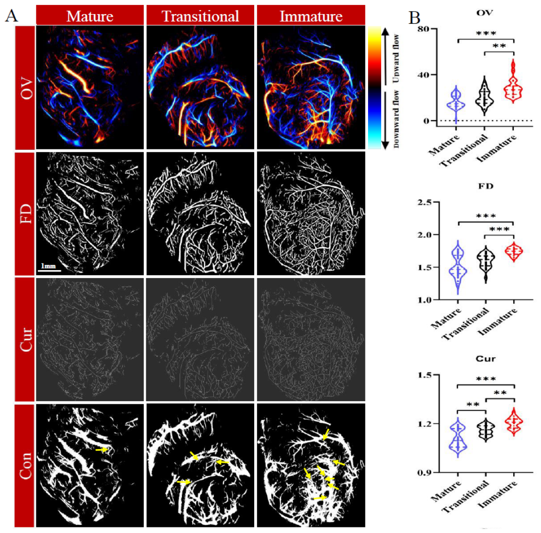 Preprints 210351 g003a