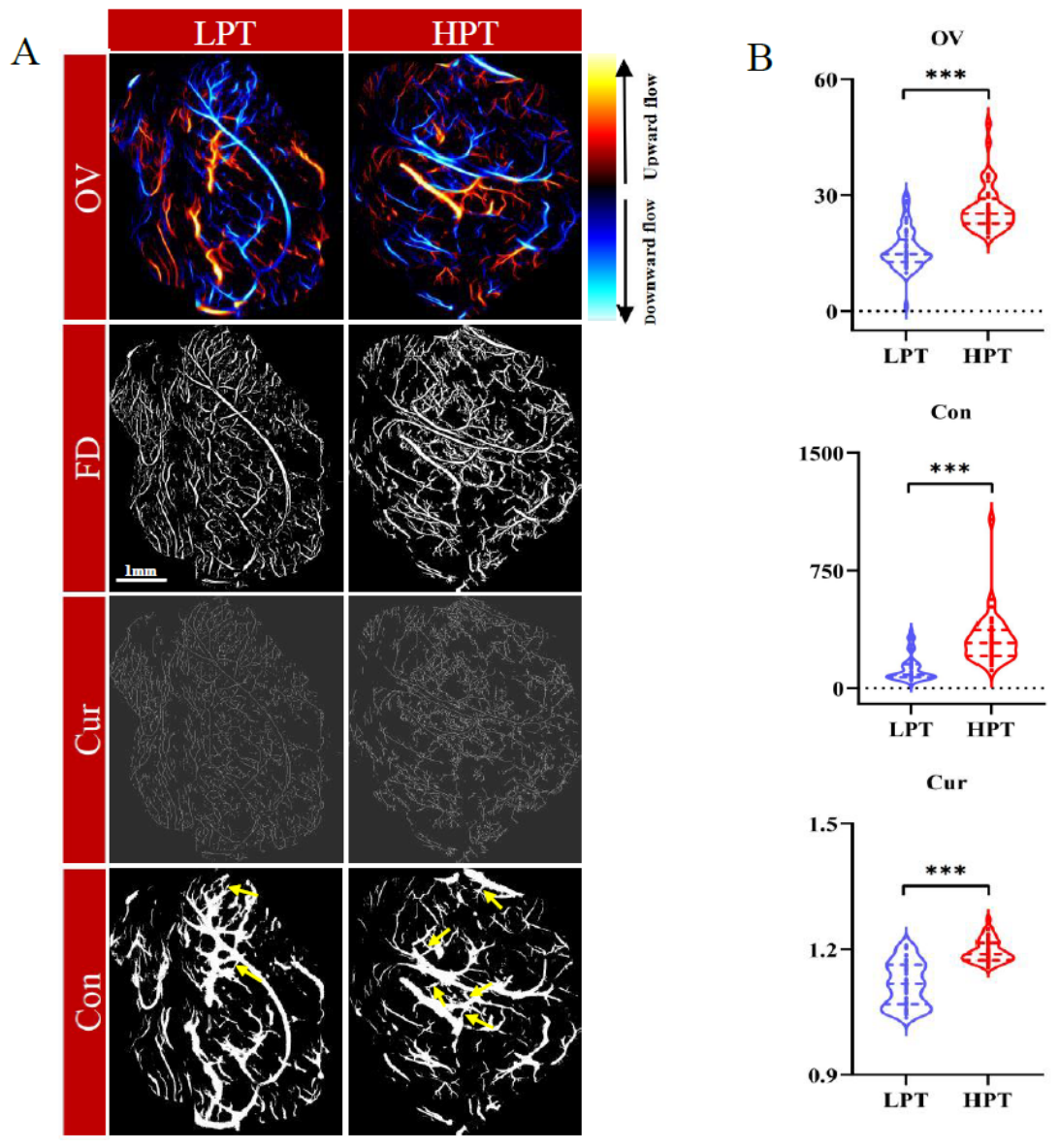 Preprints 210351 g004a