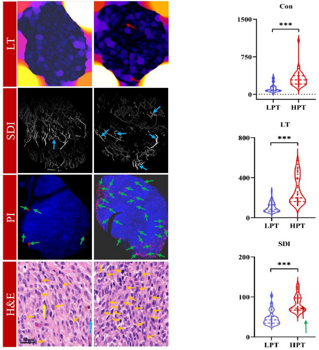 Preprints 210351 g004b