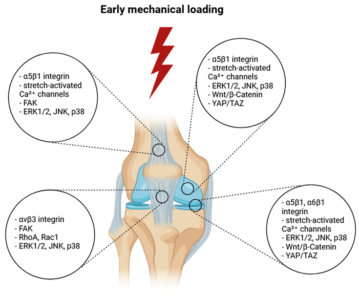 Preprints 114352 i002