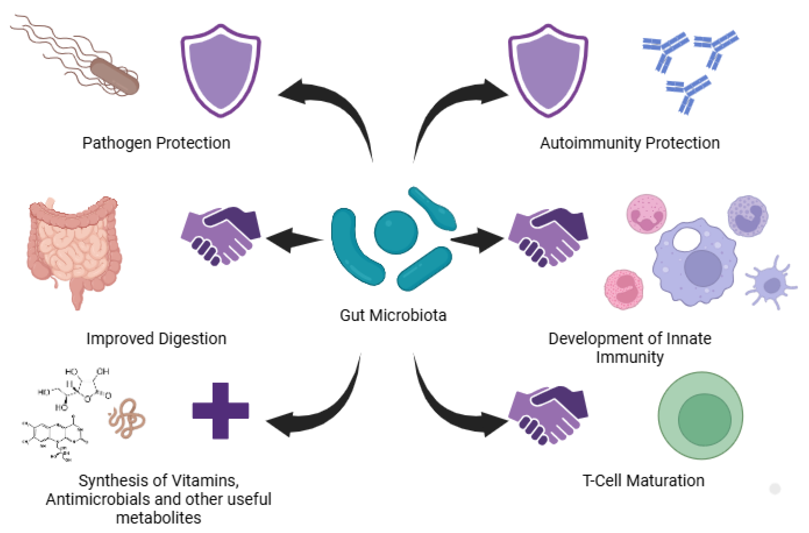 Preprints 153599 g001
