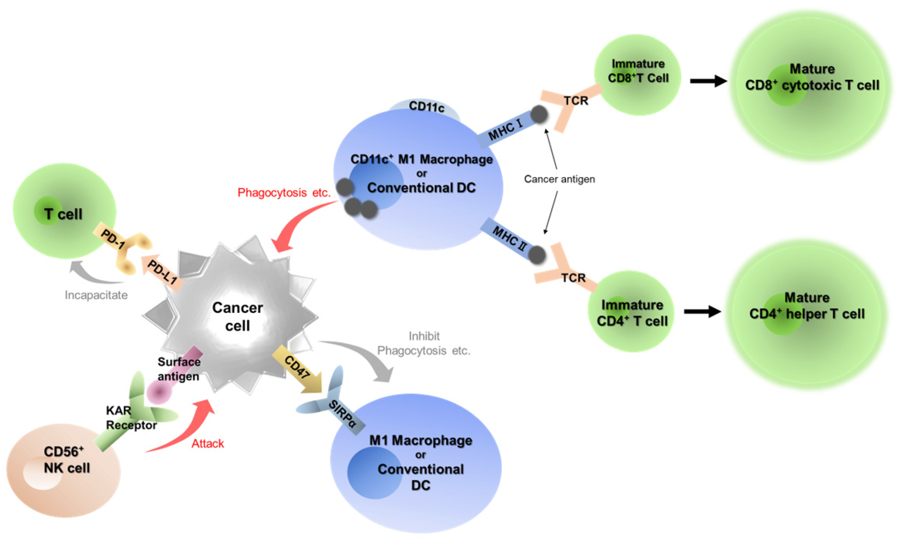 Preprints 100690 g001