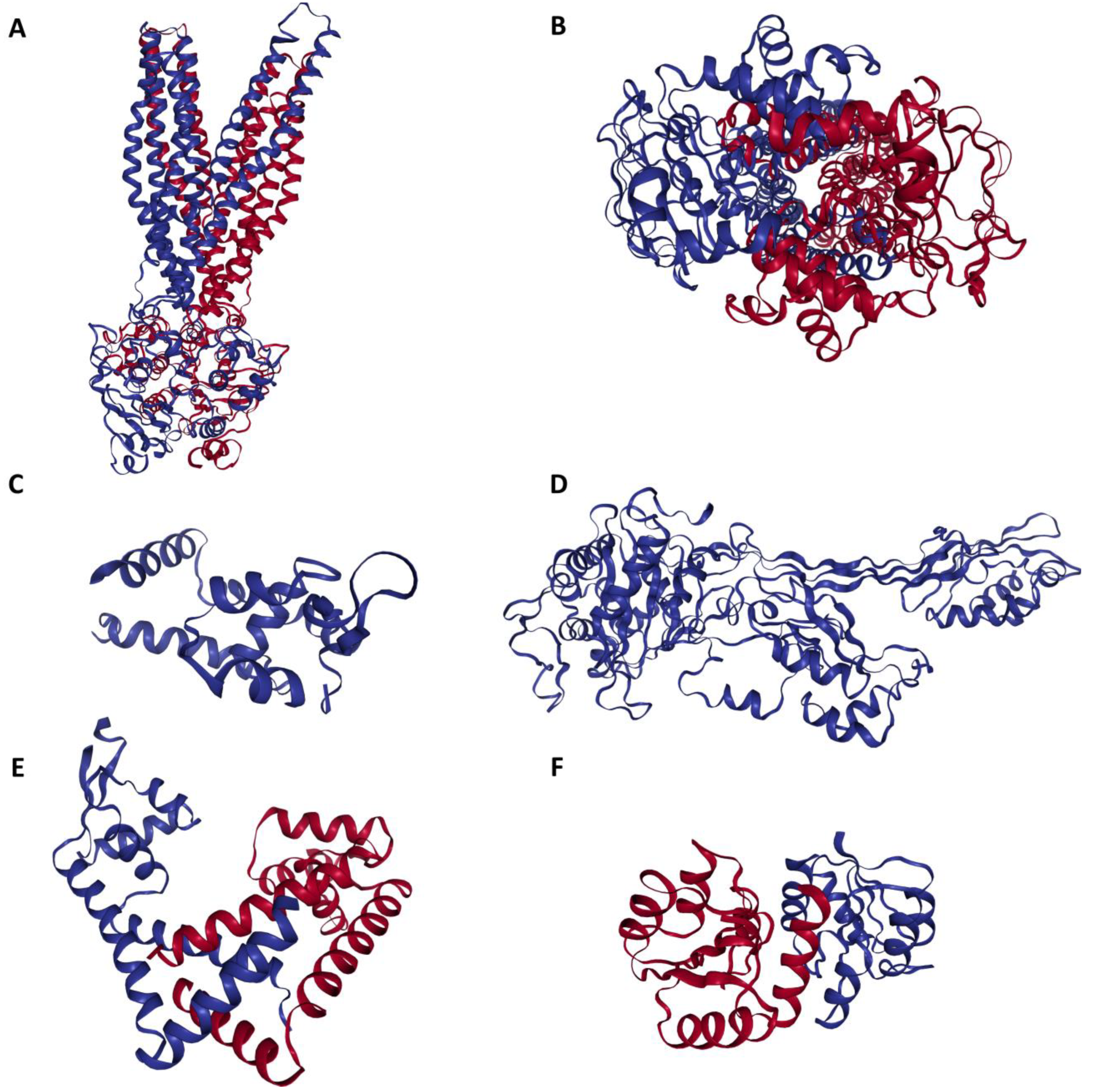Preprints 146959 g002