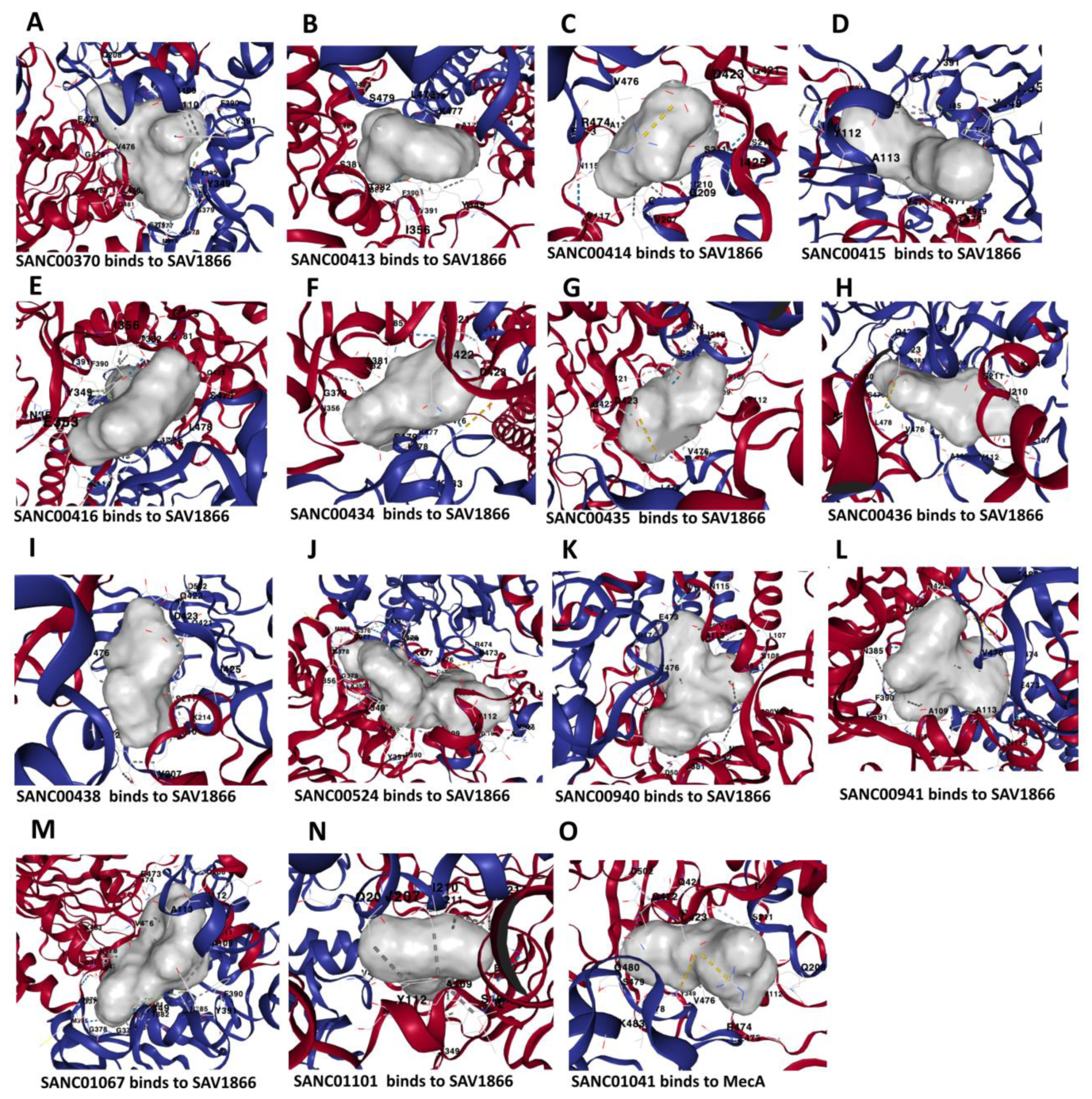 Preprints 146959 g005