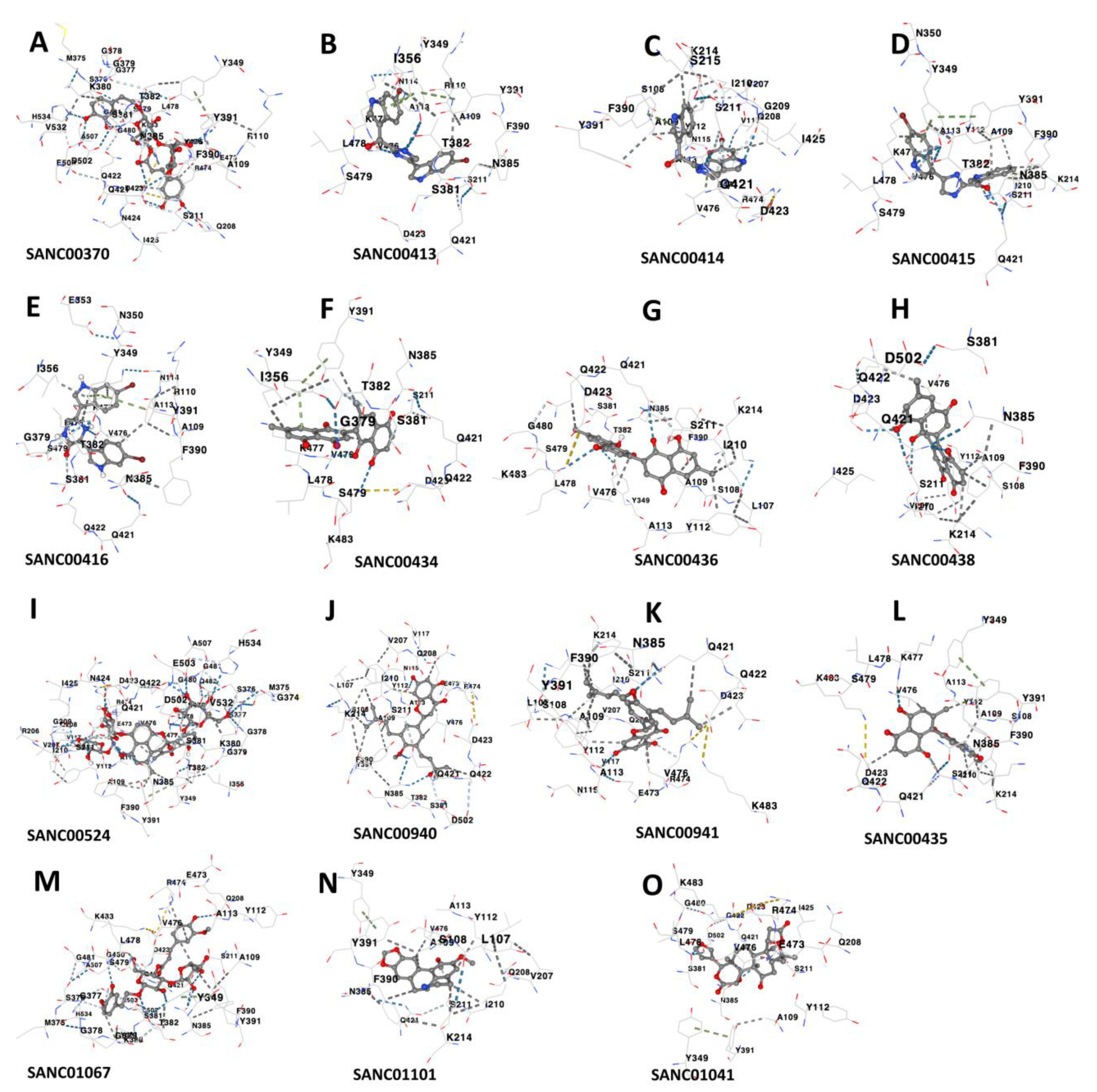 Preprints 146959 g006
