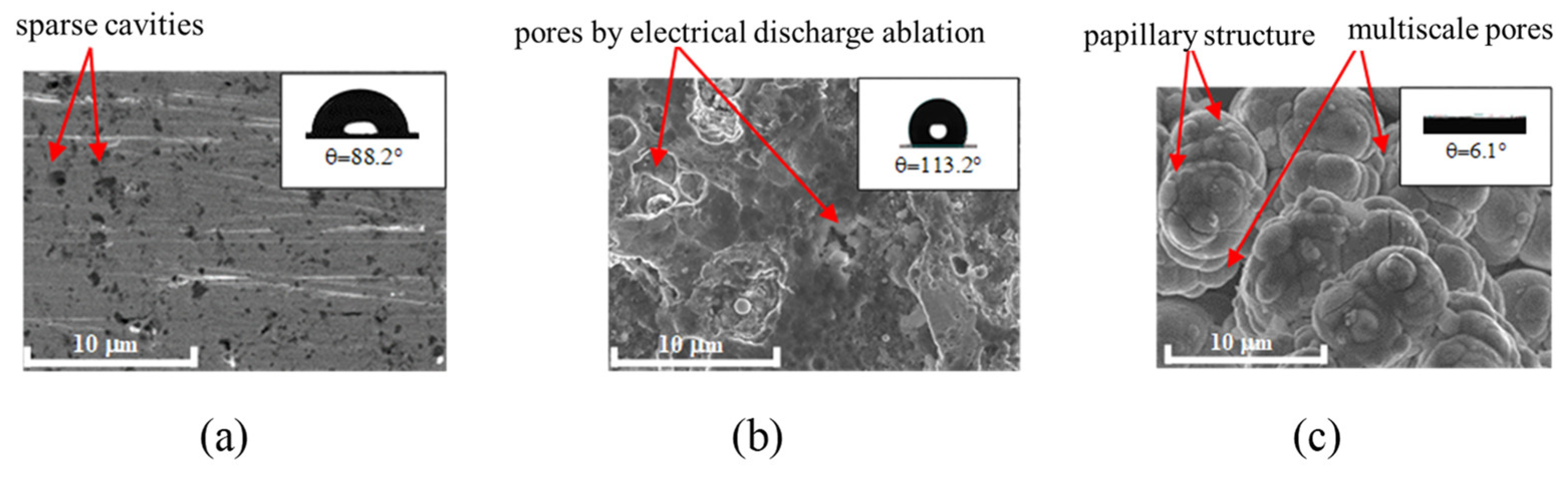 Preprints 149746 g006