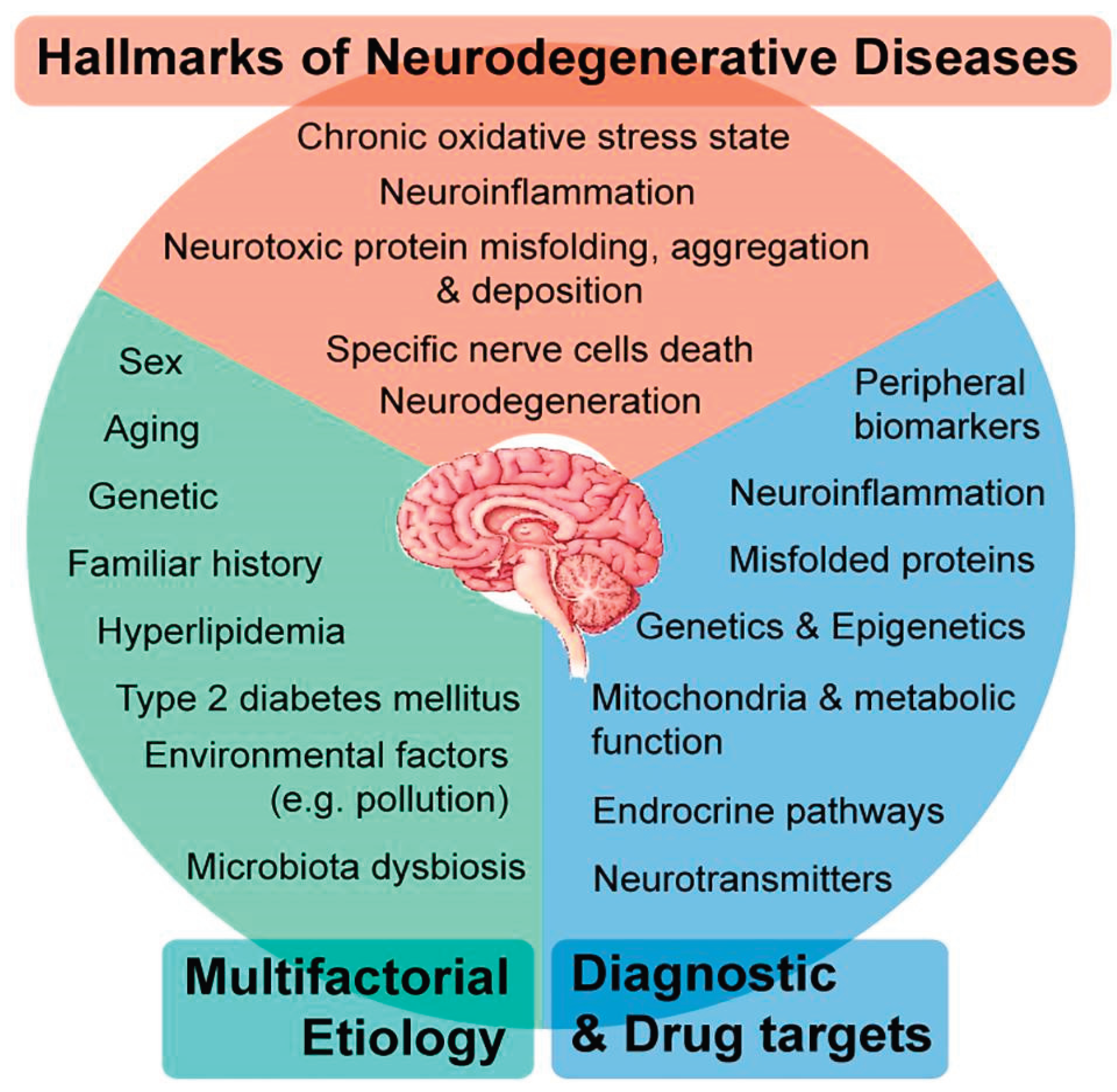 Preprints 171804 g001