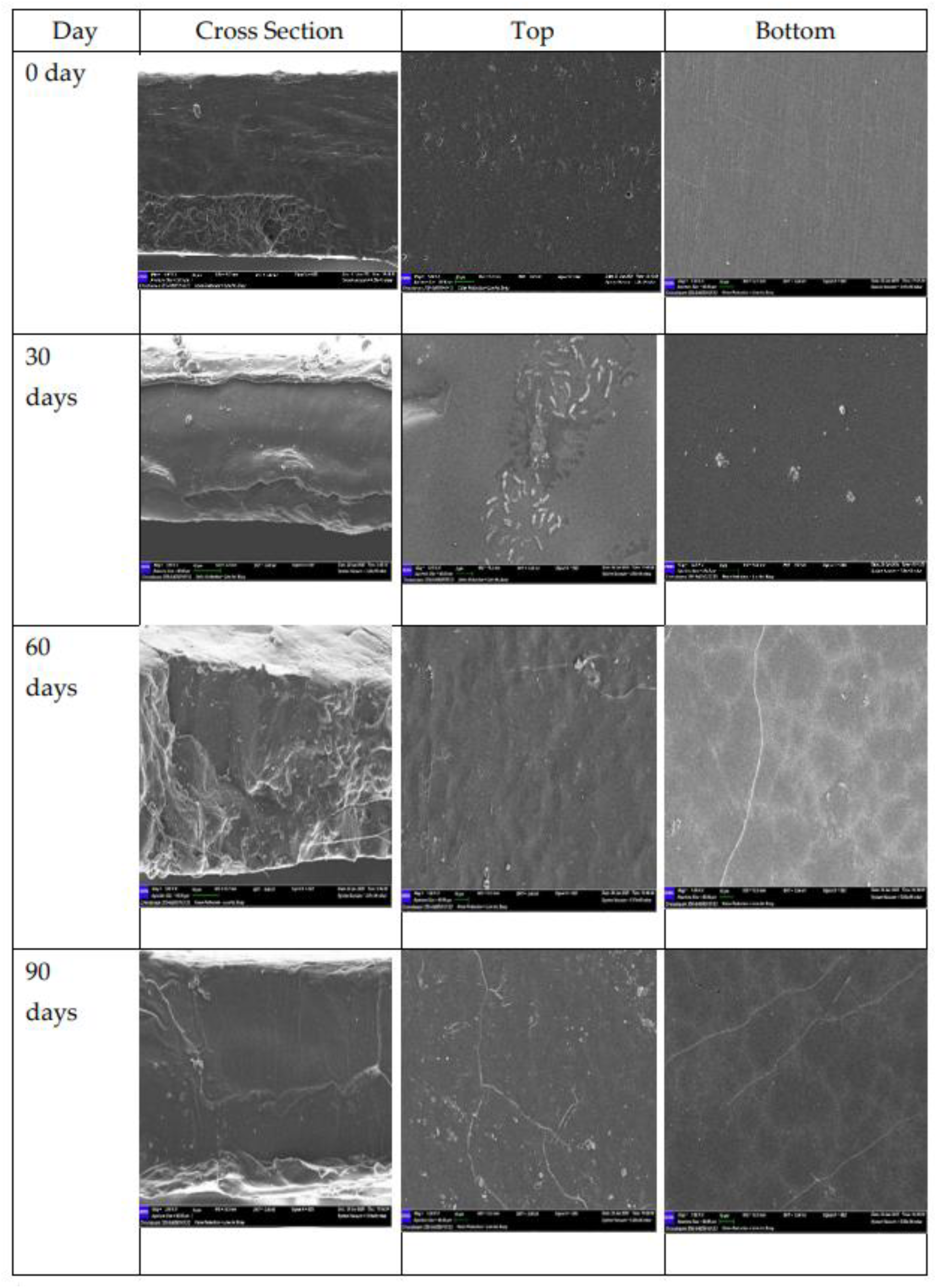 Preprints 181119 g004