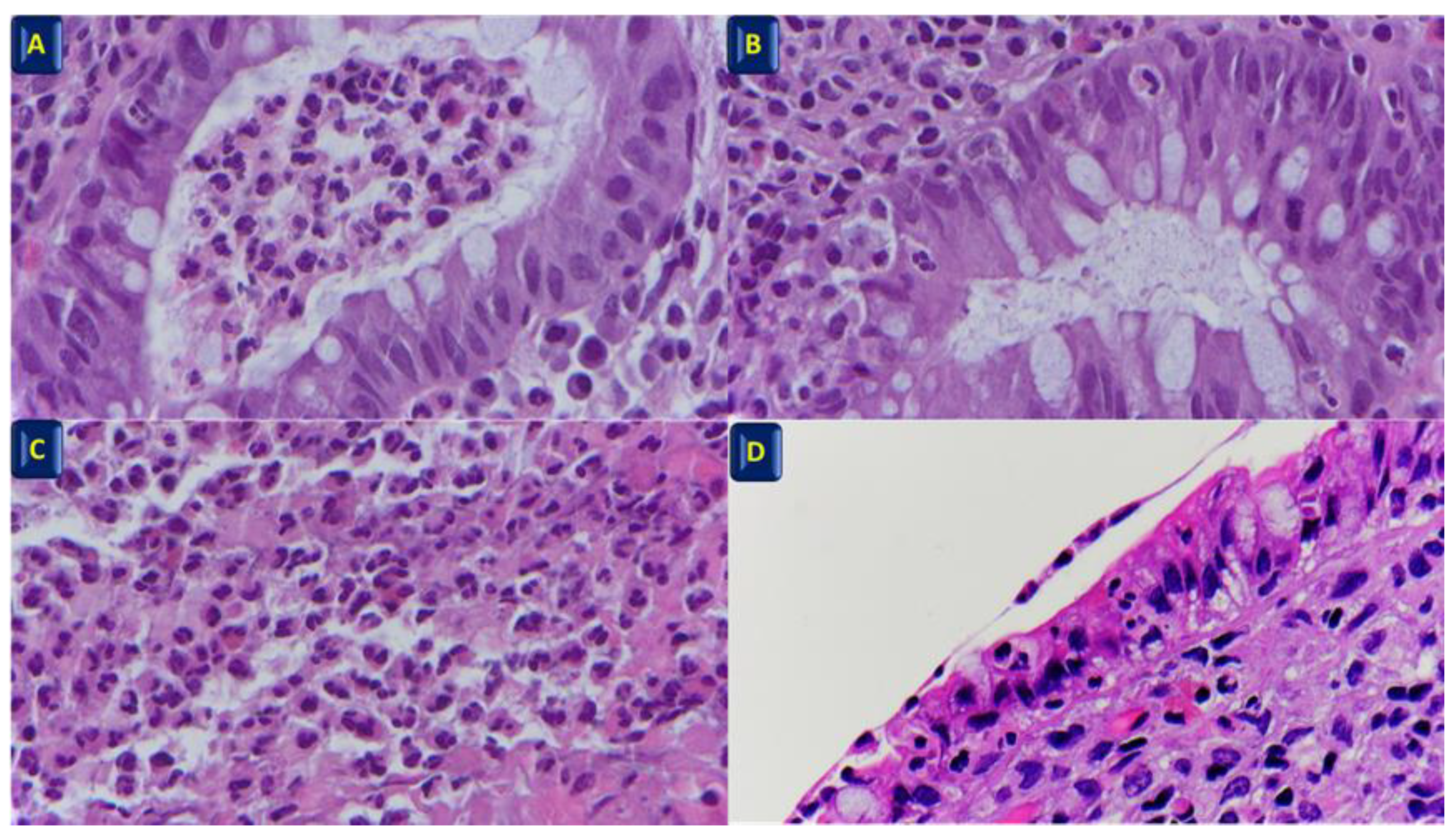 Preprints 74228 g001