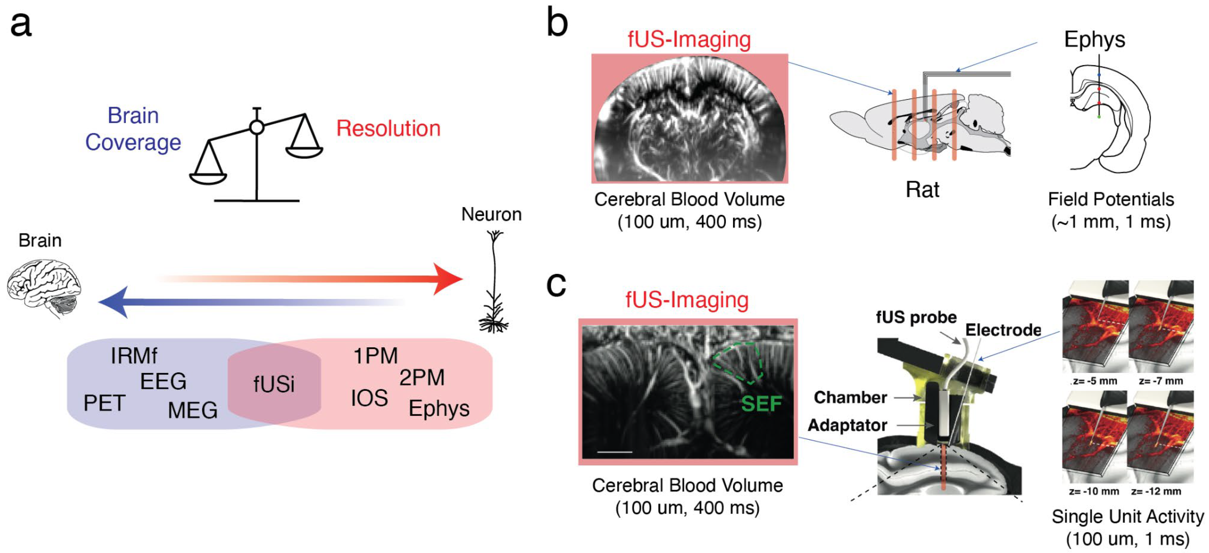 Preprints 143307 g001
