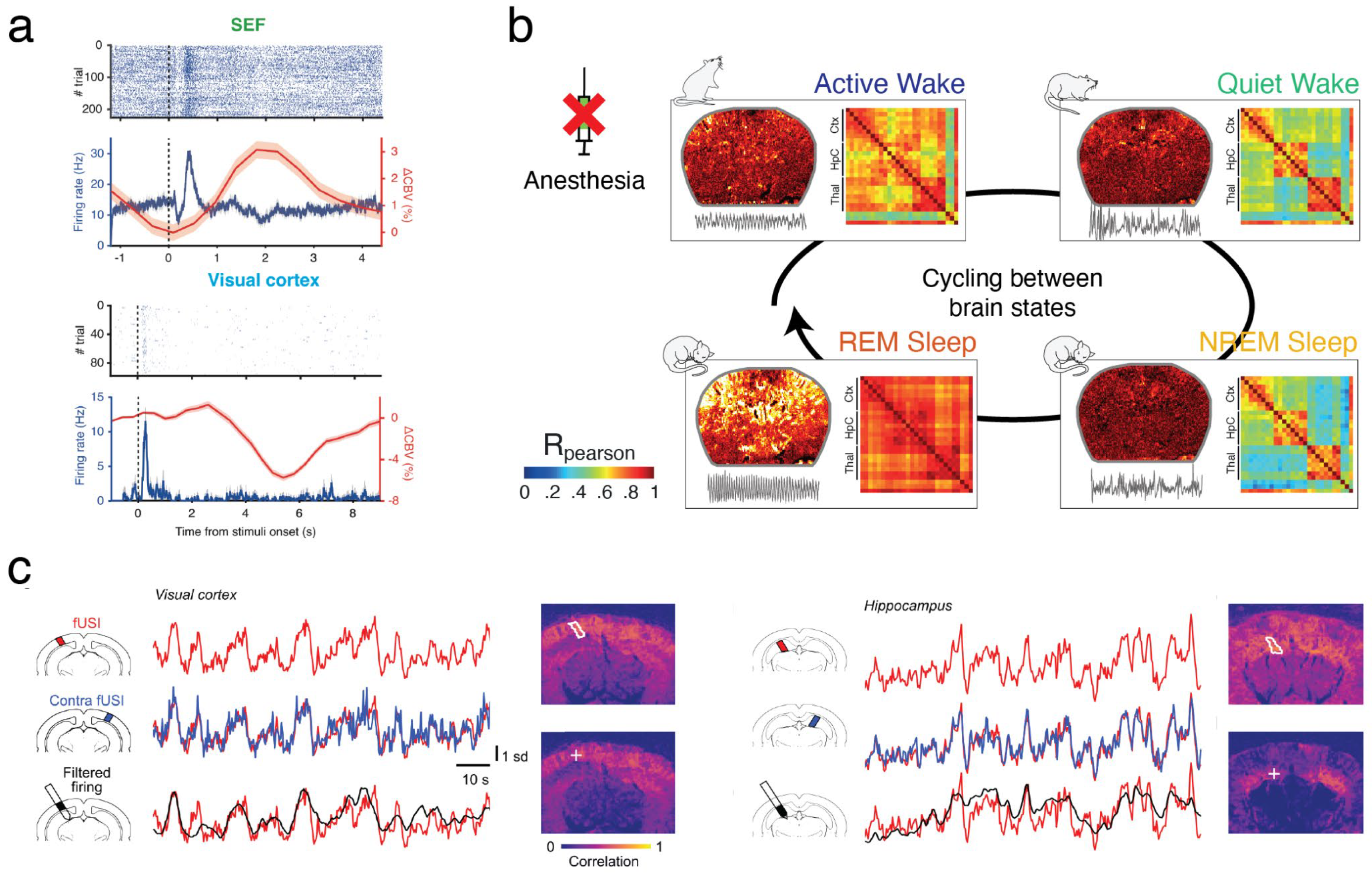 Preprints 143307 g003