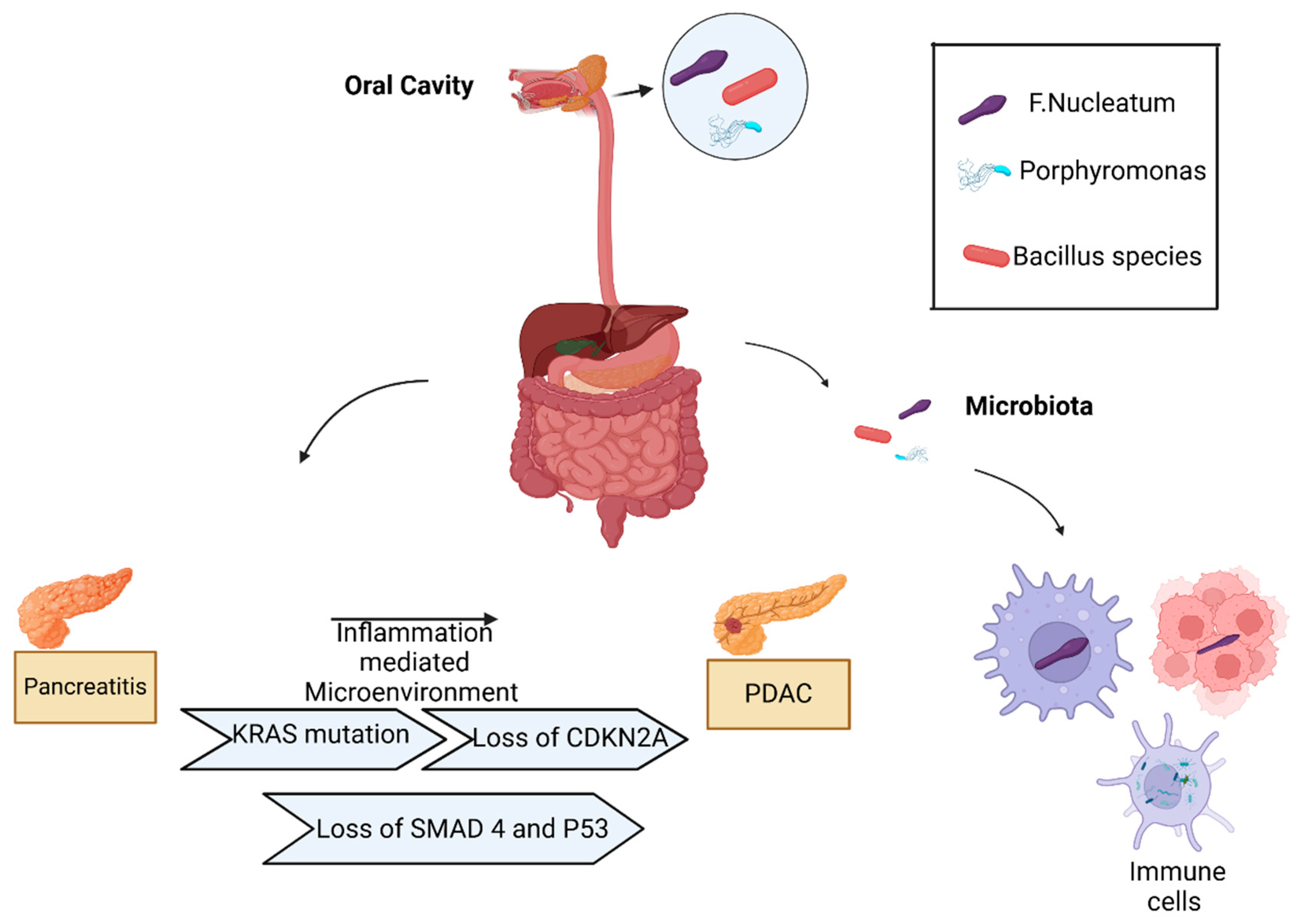 Preprints 141712 g001