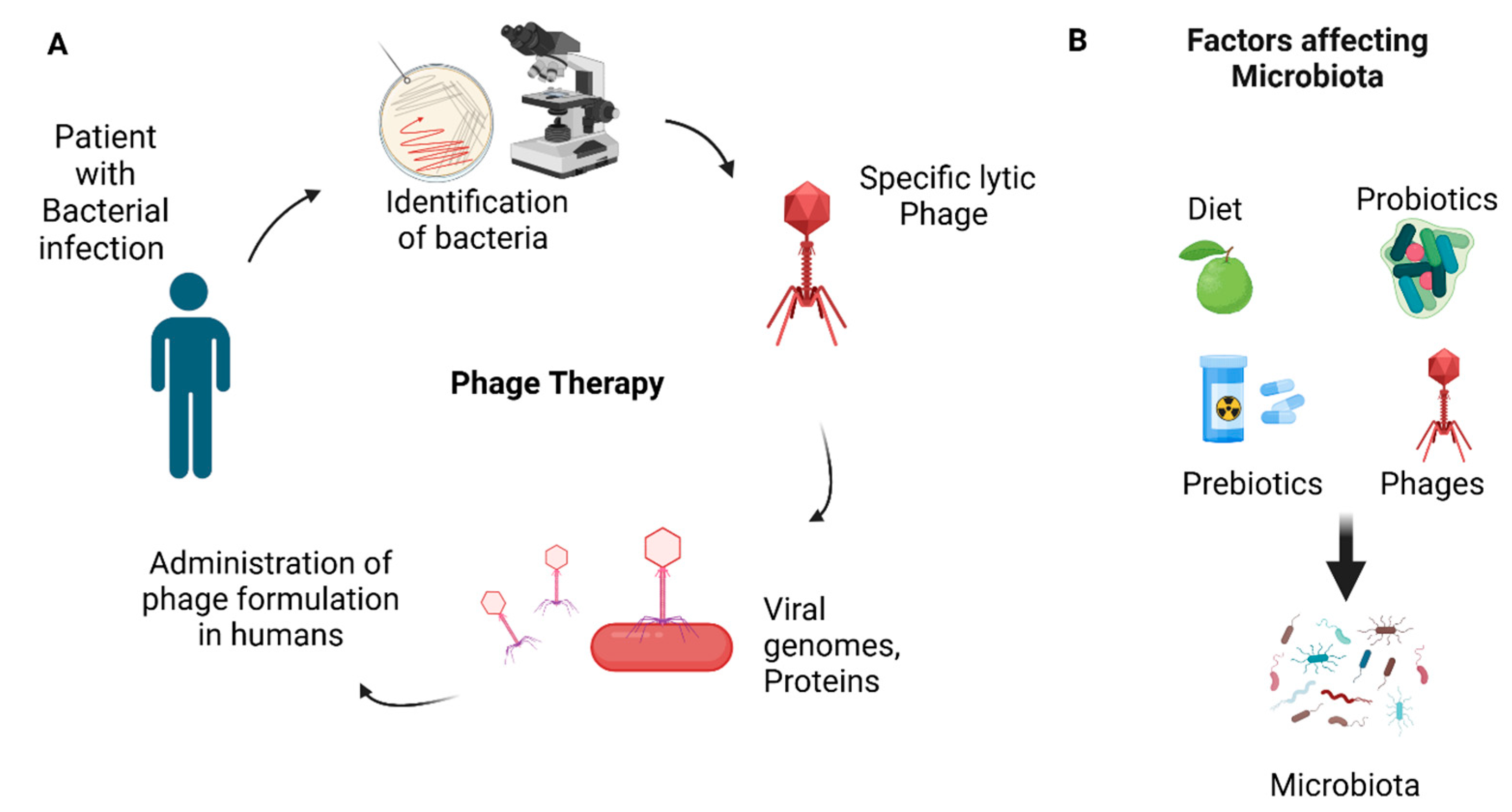 Preprints 141712 g003
