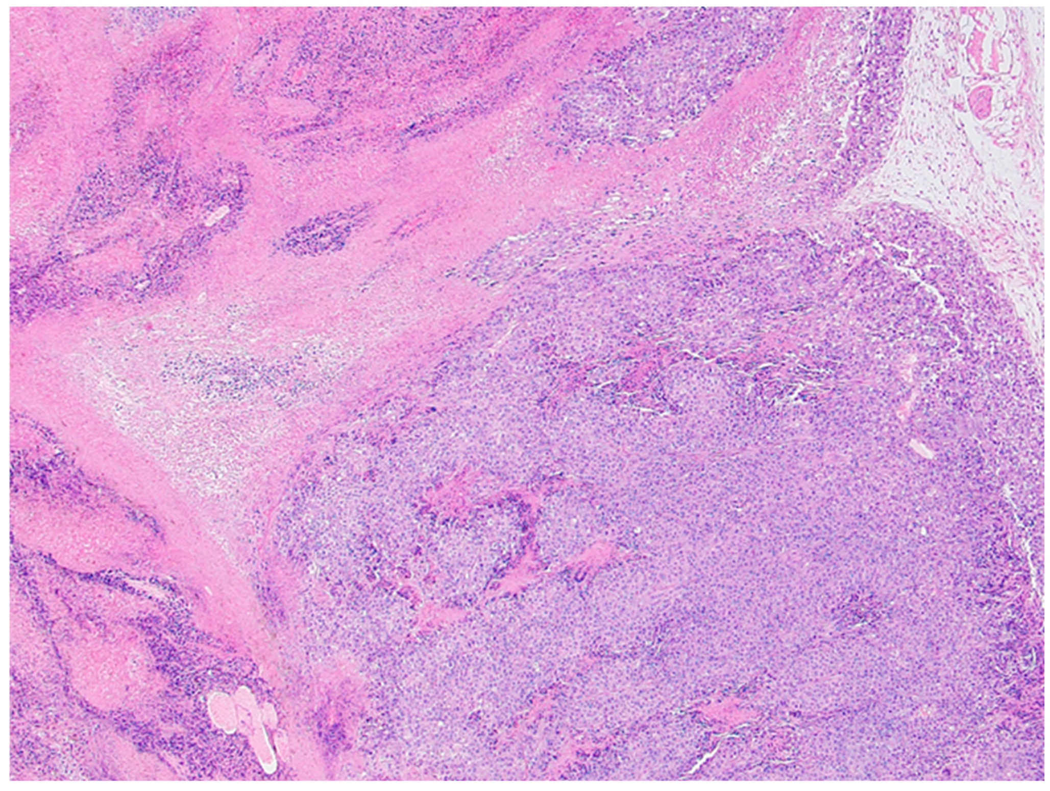 Preprints 139074 g006