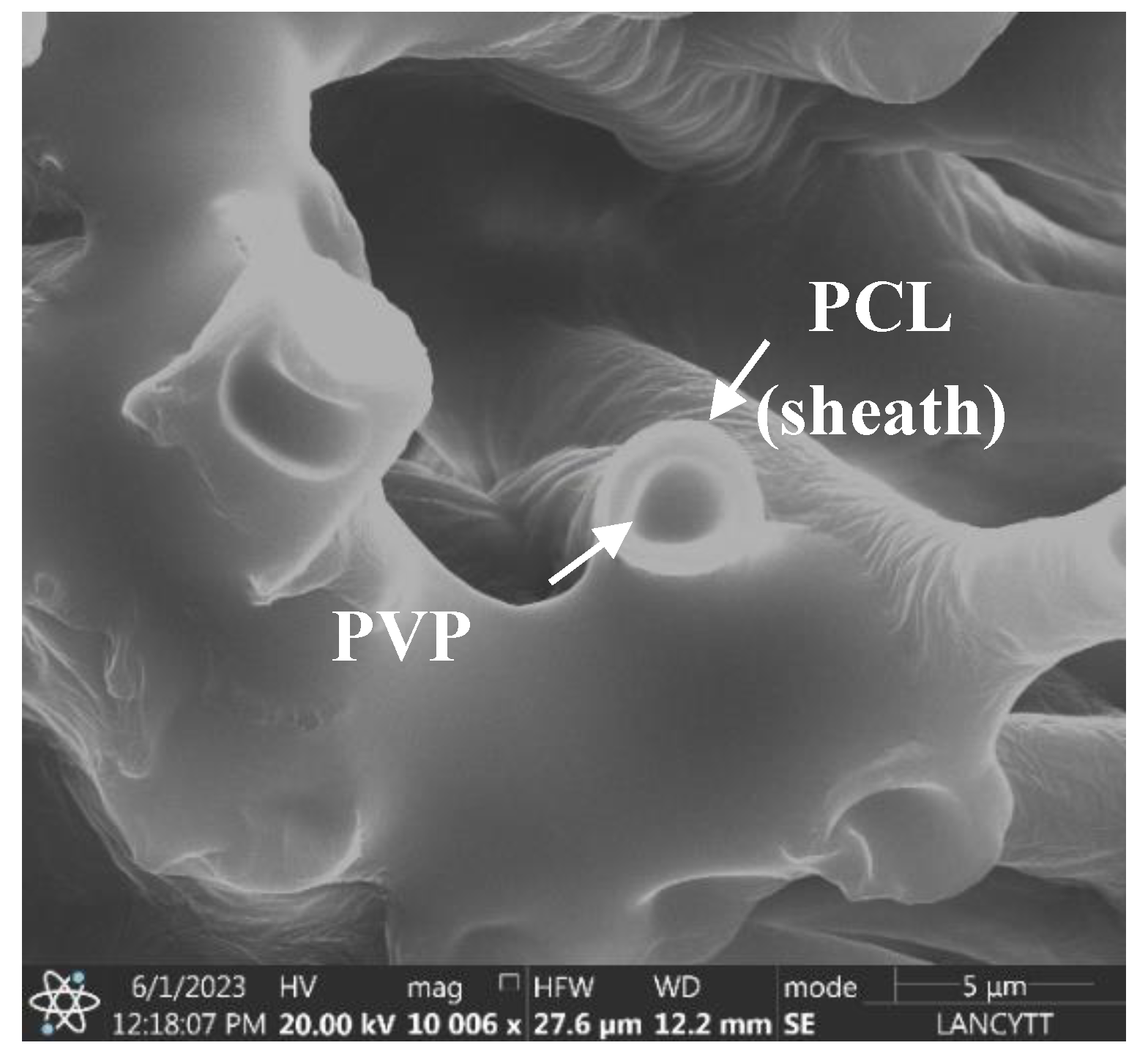 Preprints 142875 g002