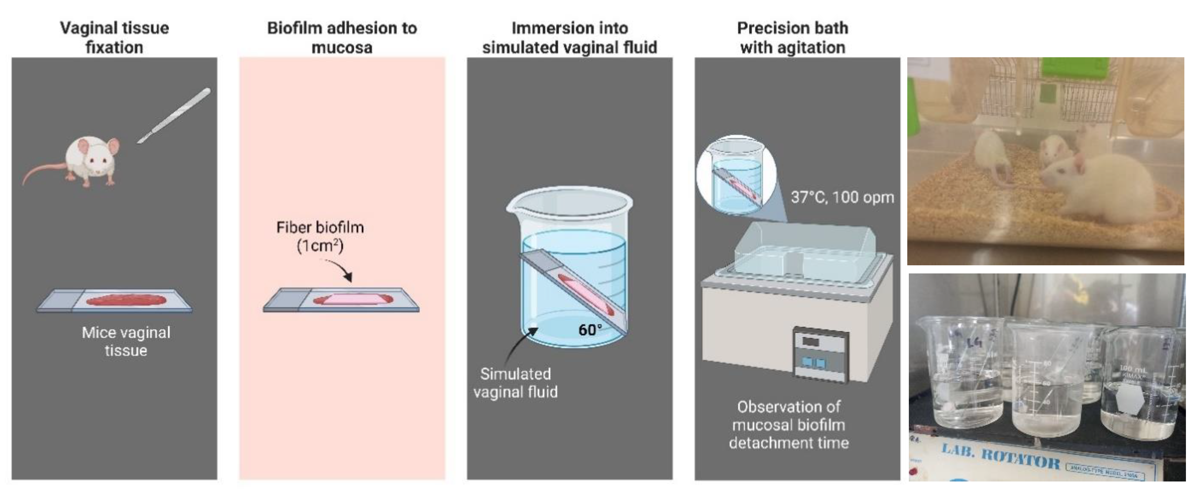 Preprints 142875 g009