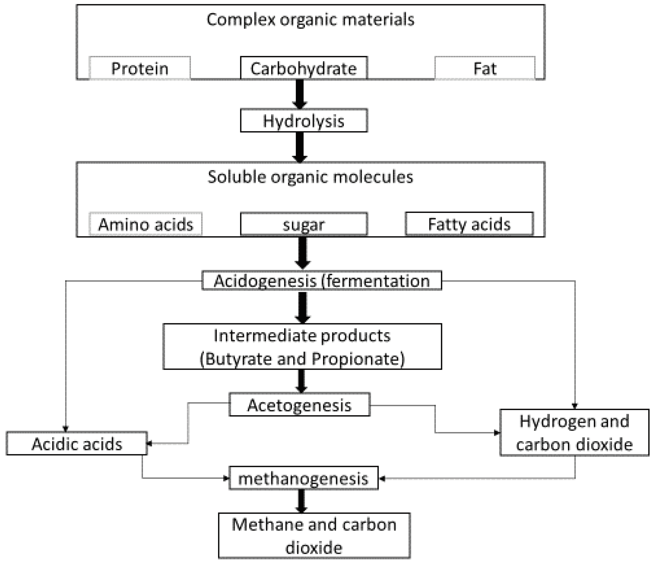 Preprints 99667 g001