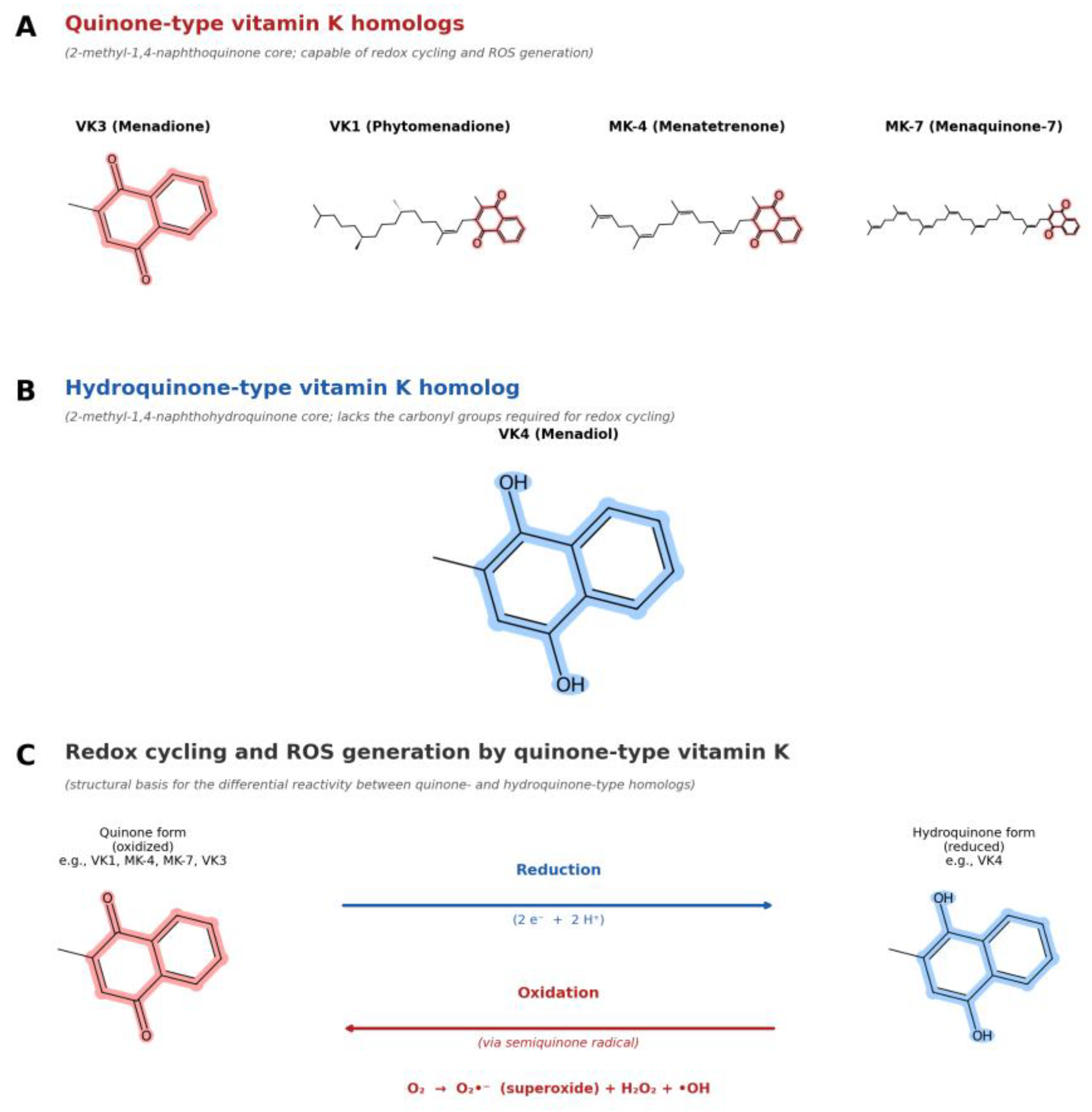 interaction of menadione 2-methyl-1 4-naphthoquinone with glutathione Chemical structures menaquinone and analogs menadione, Vitamin K: Sources, Forms, Absorption