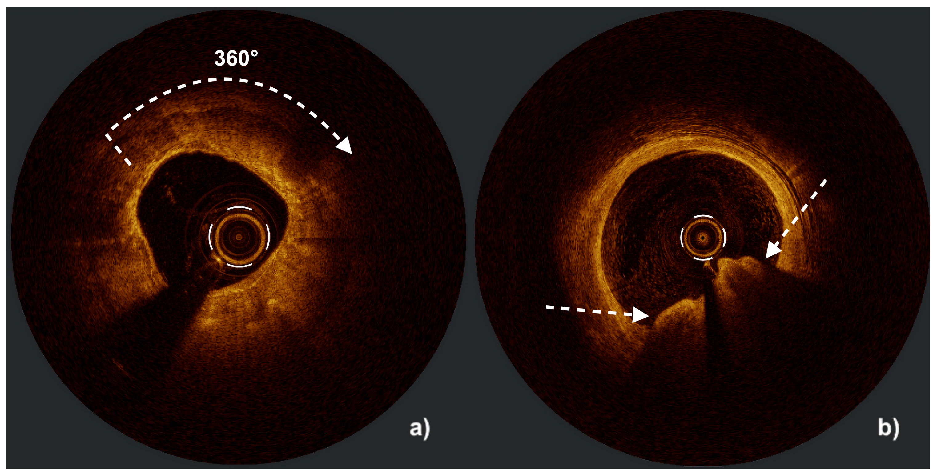 Preprints 183149 g002