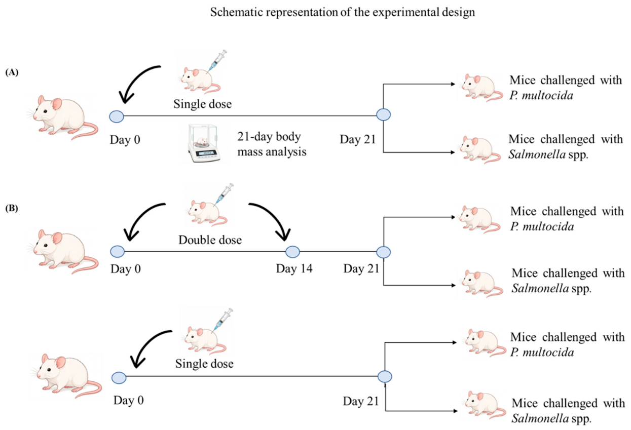 Preprints 233381 g001