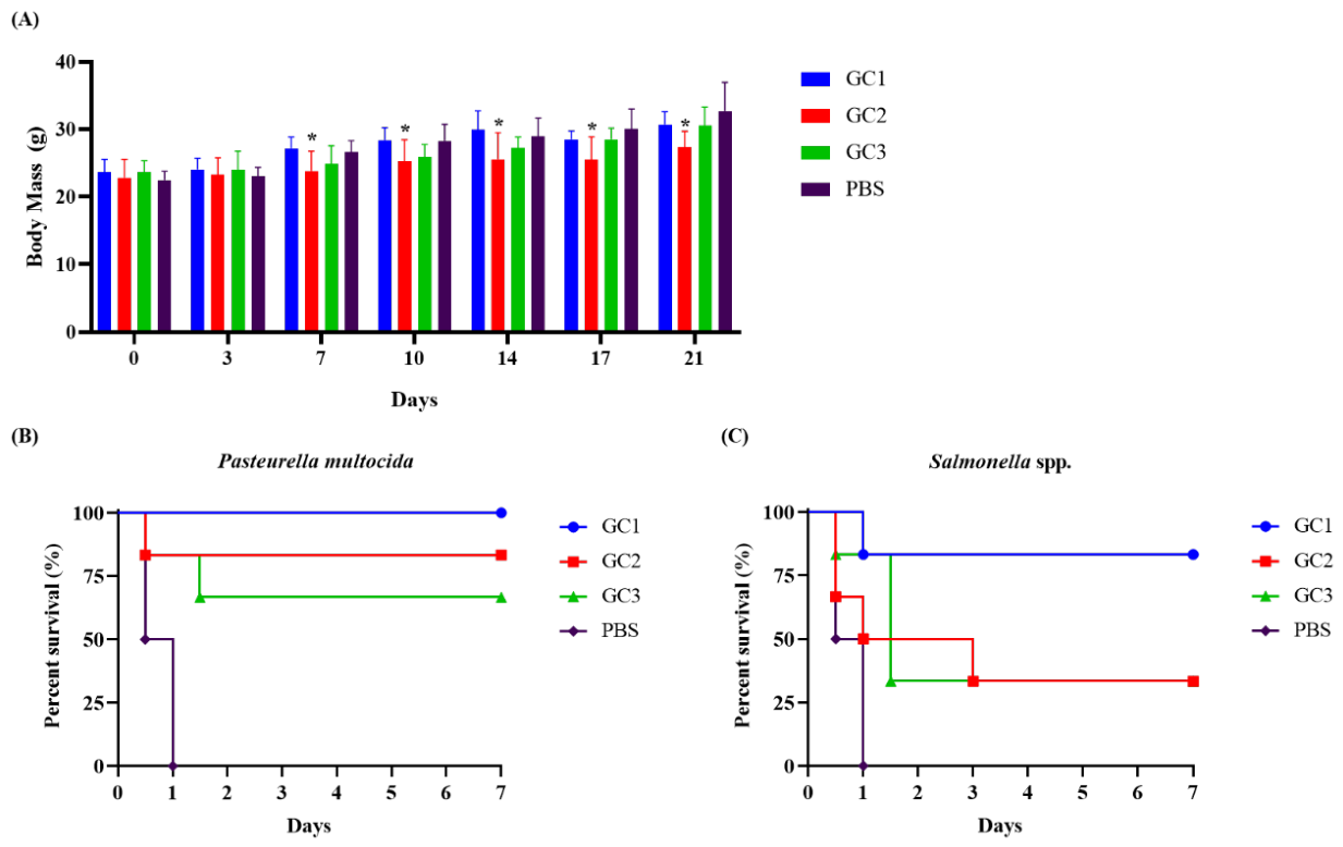 Preprints 233381 g003