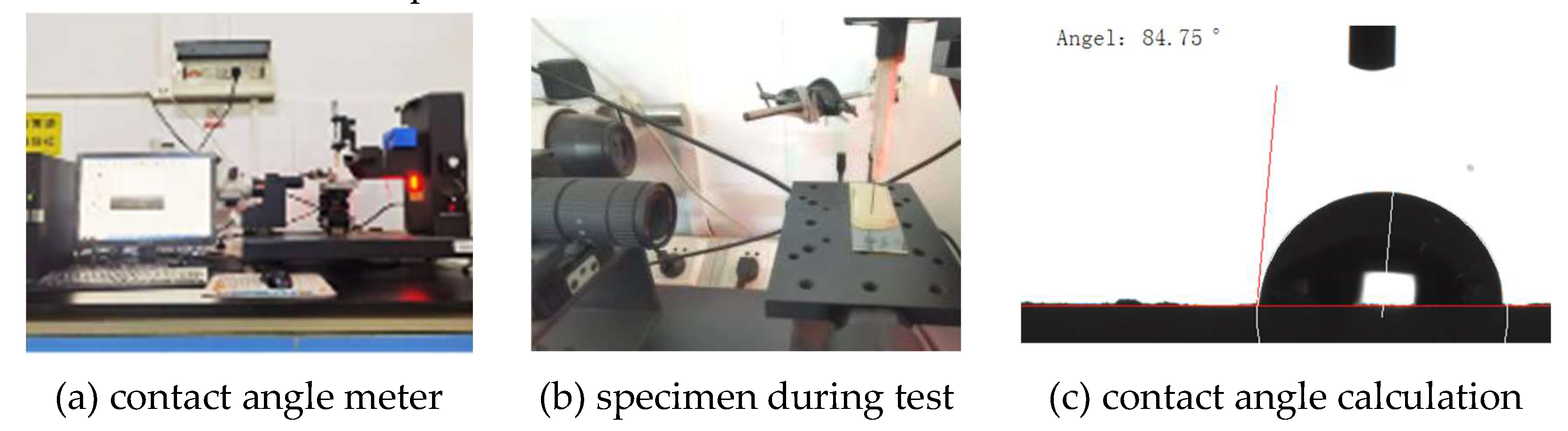 Preprints 216587 g009