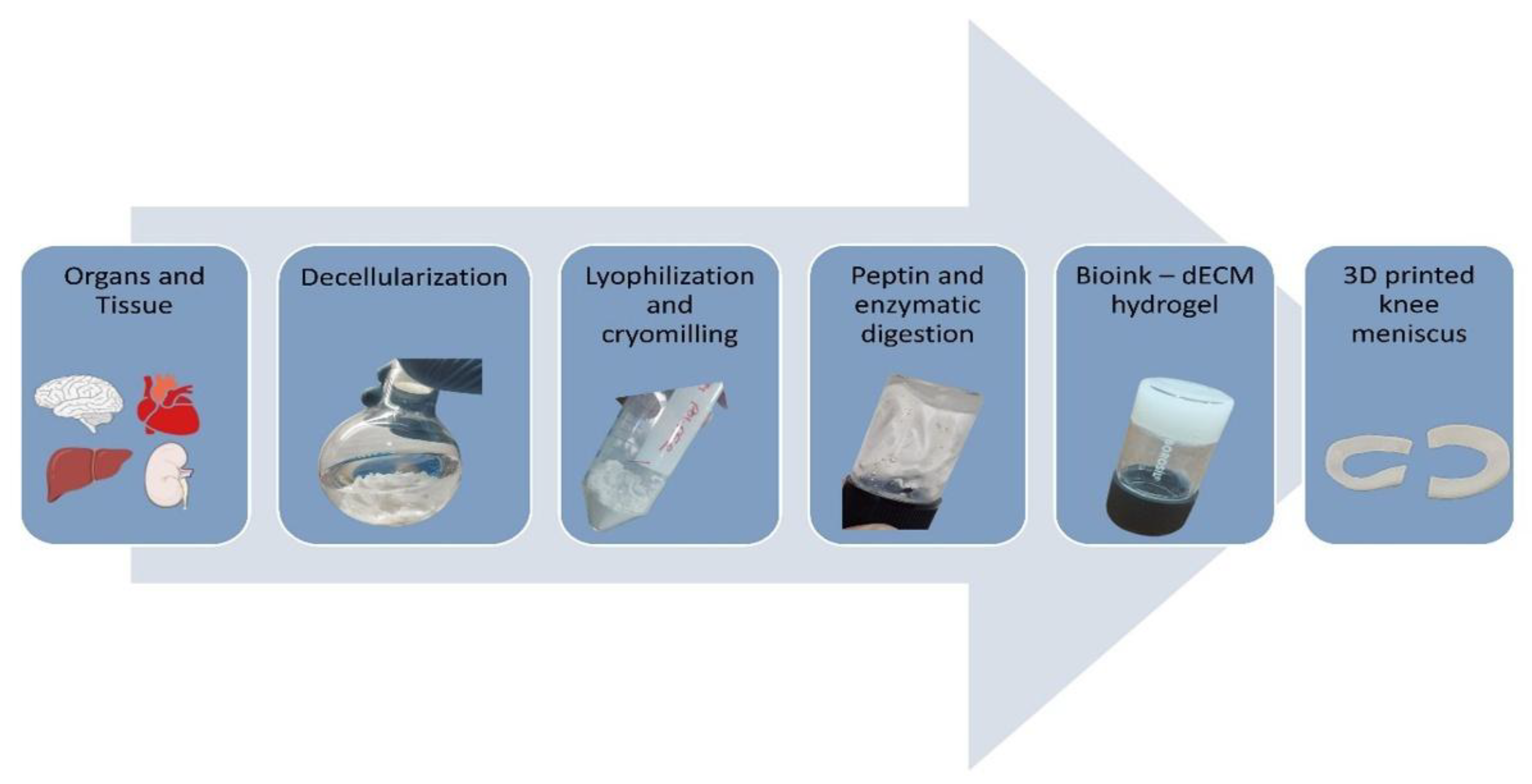 Preprints 177863 g003