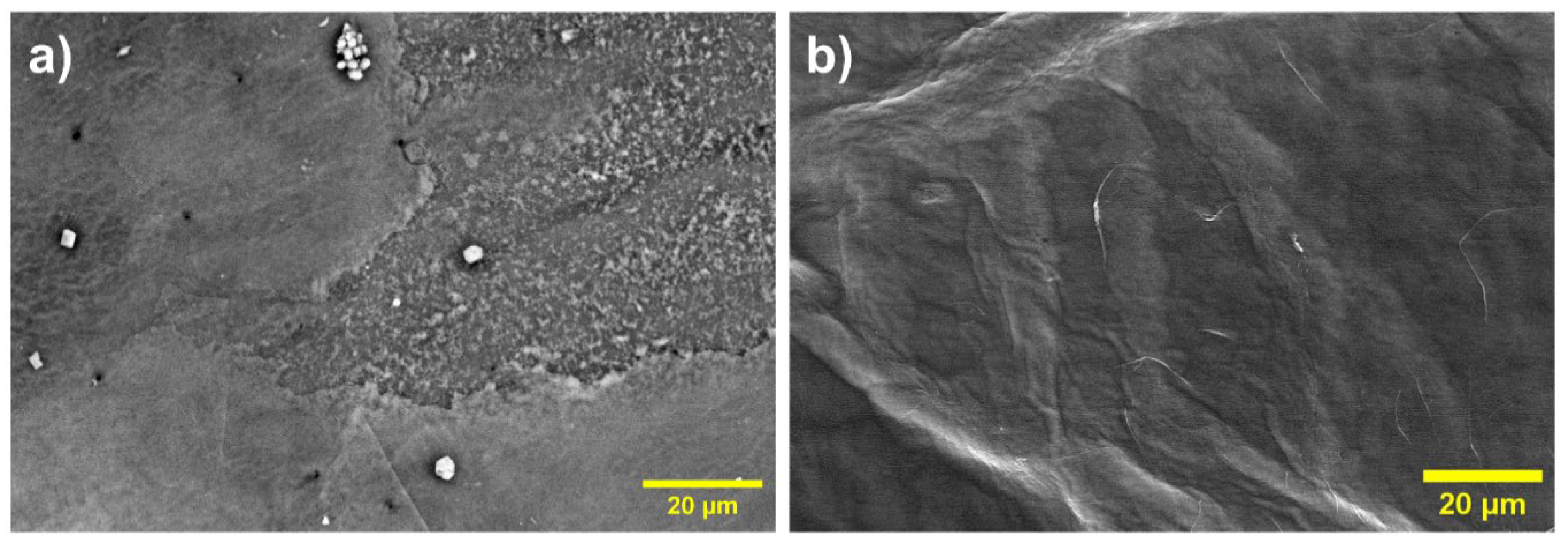 Preprints 101488 g003