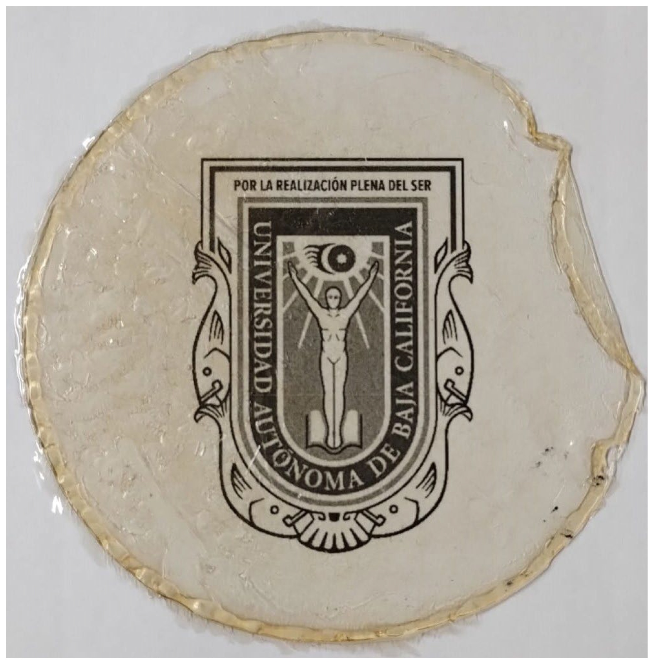 Preprints 101488 g009