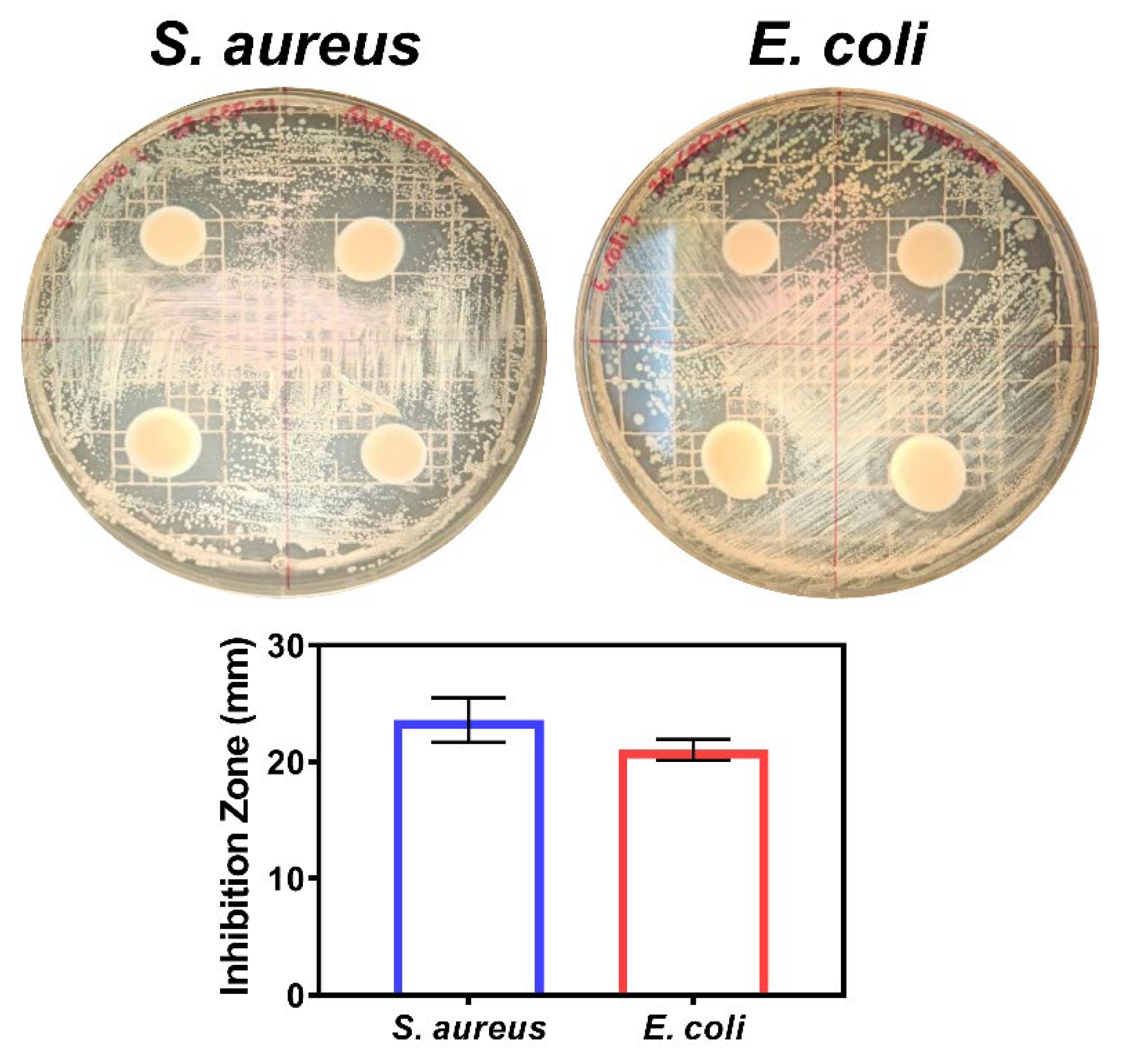 Preprints 101488 g010