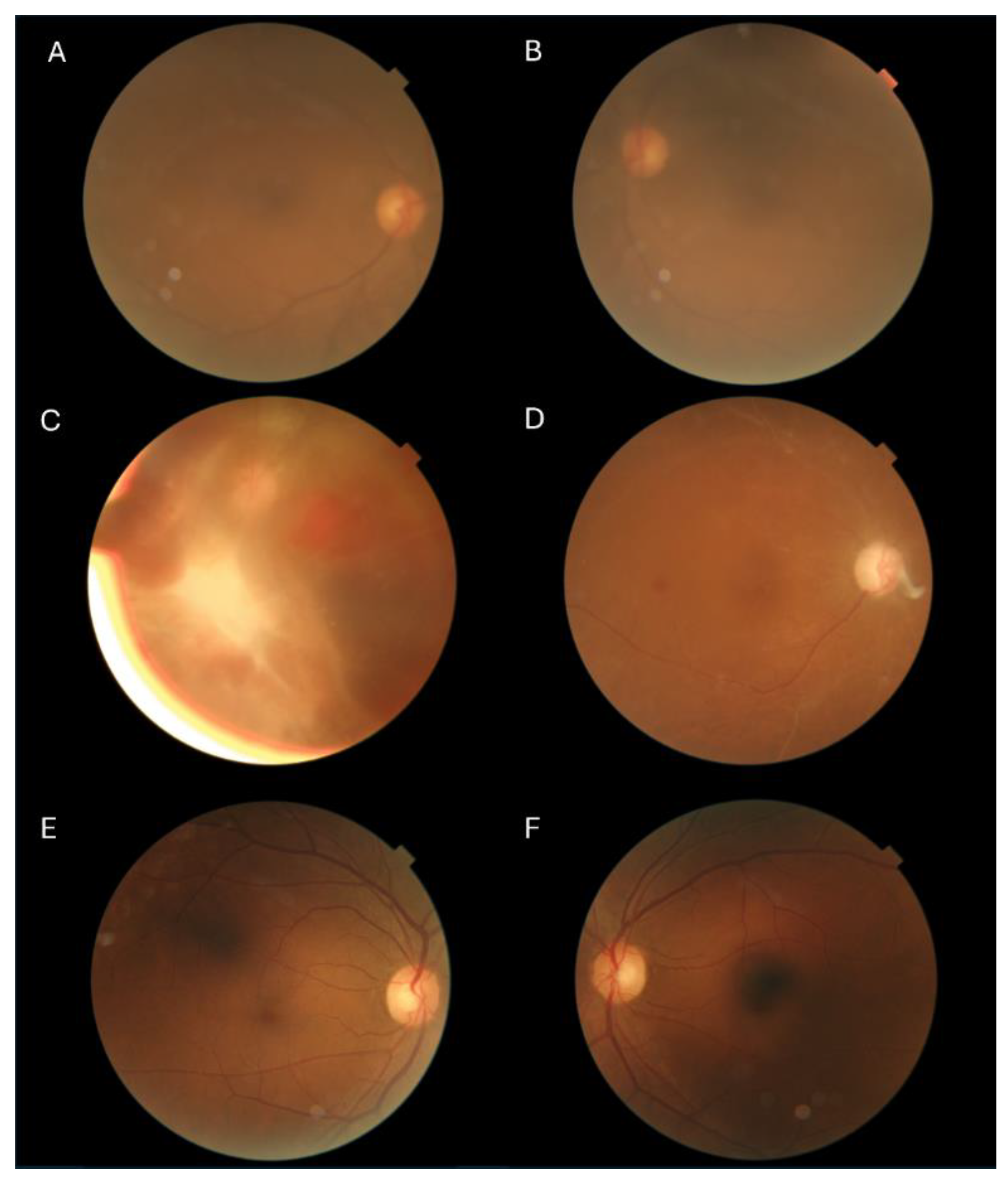 Preprints 180573 g001