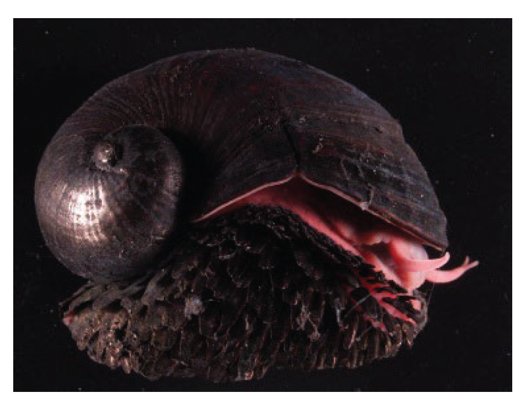 Preprints 198069 g028