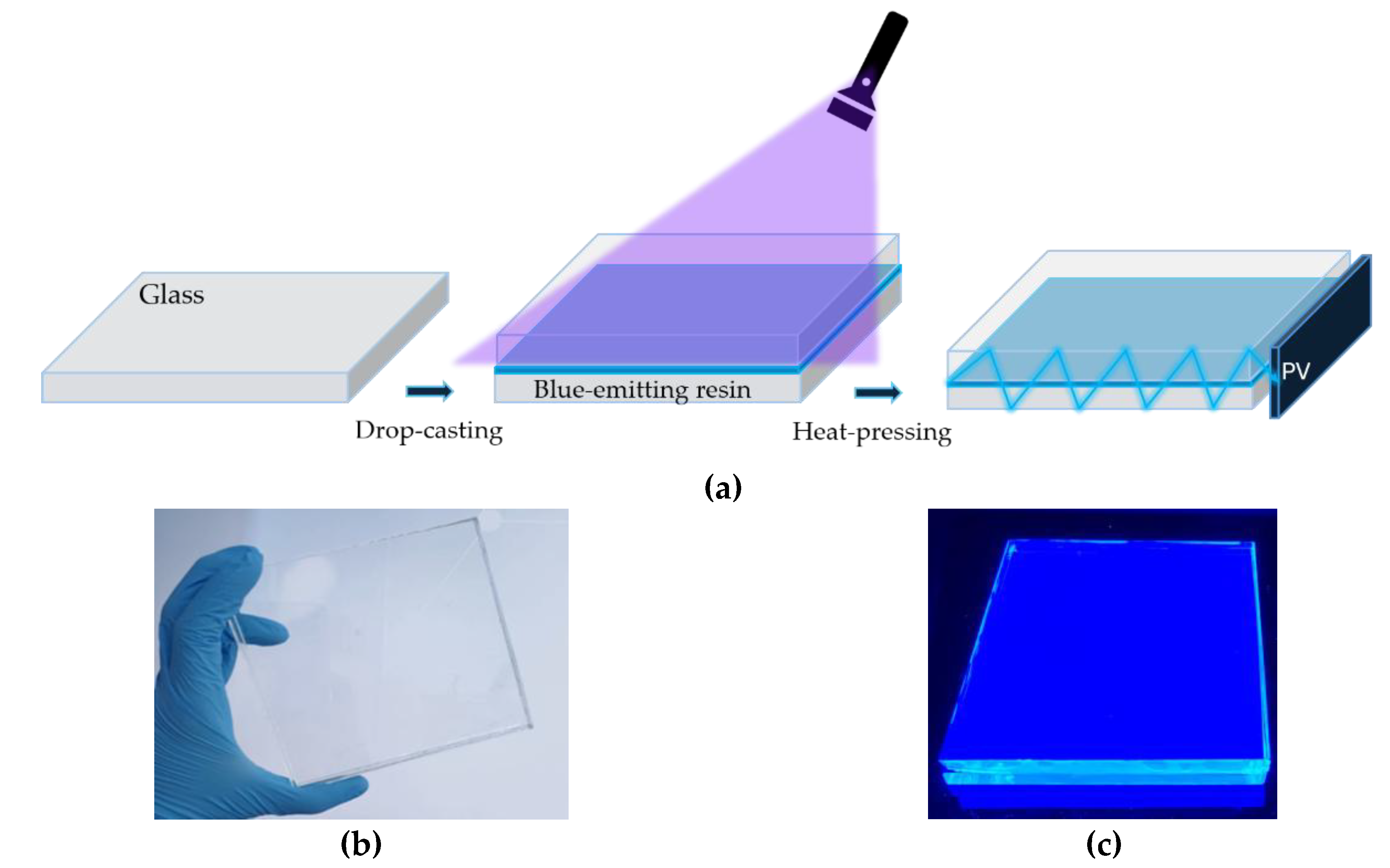 Preprints 226812 g001